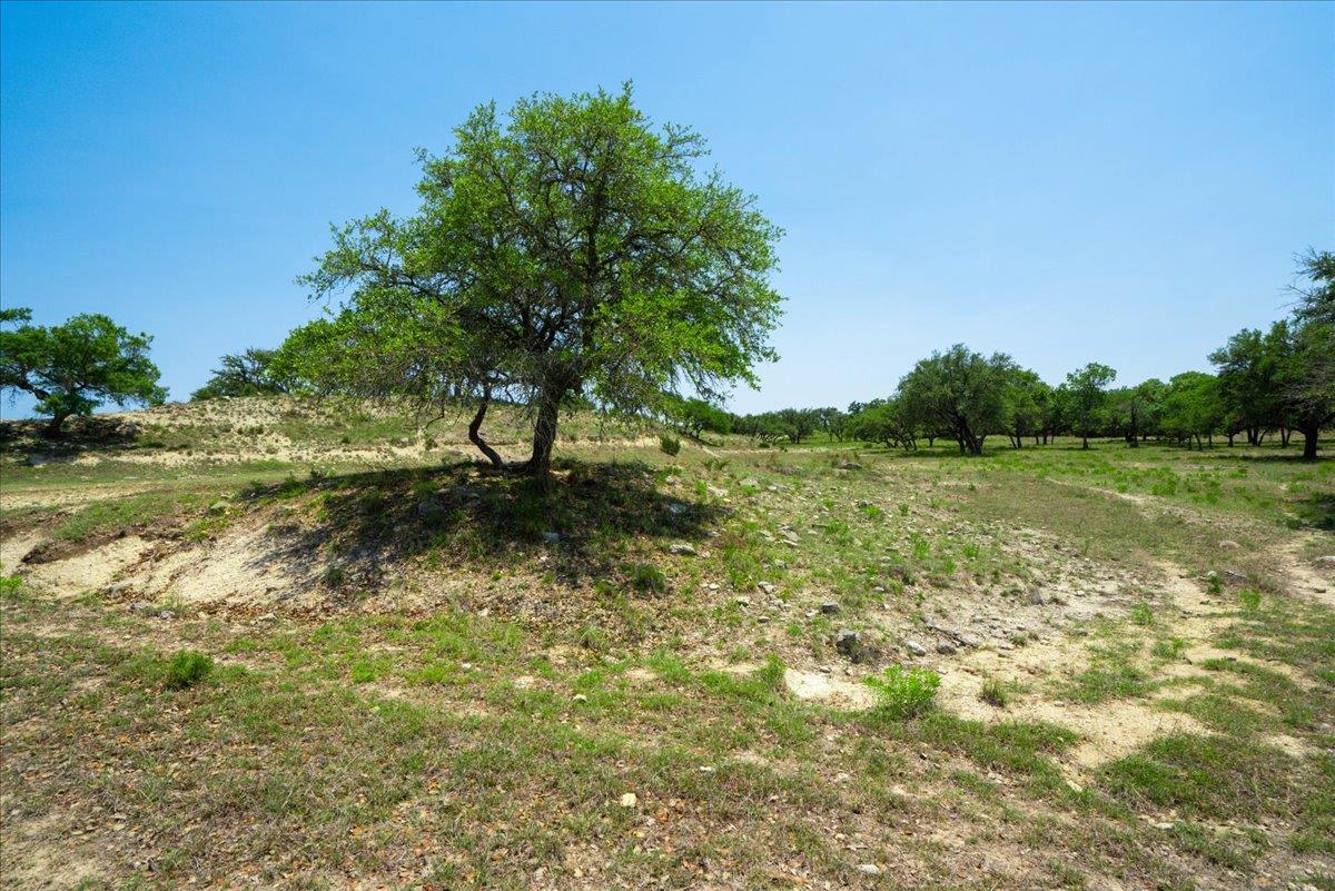 7890 Us 290 Hwy Property Photo 16