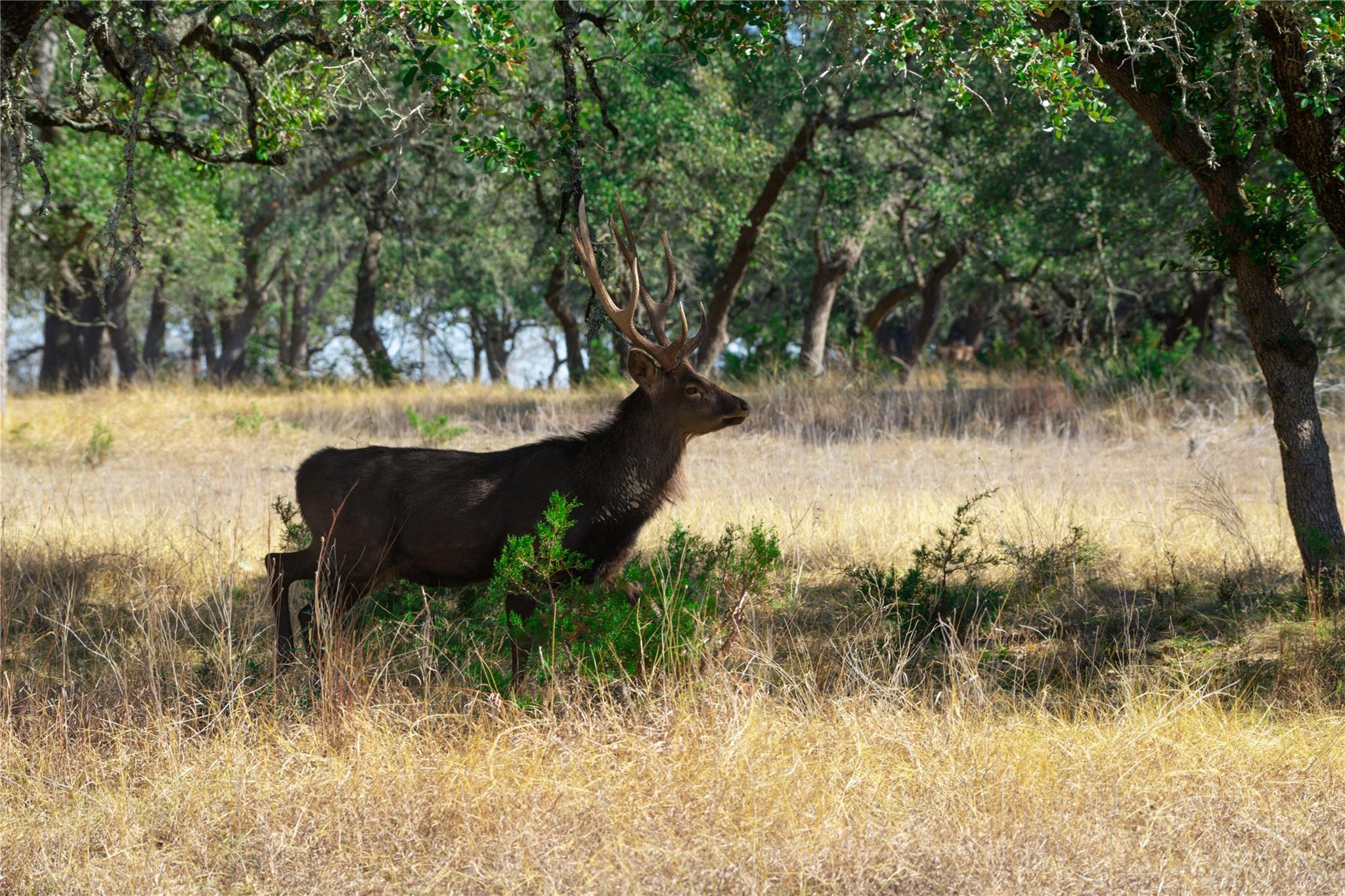 7890 Us 290 Hwy Property Photo 31