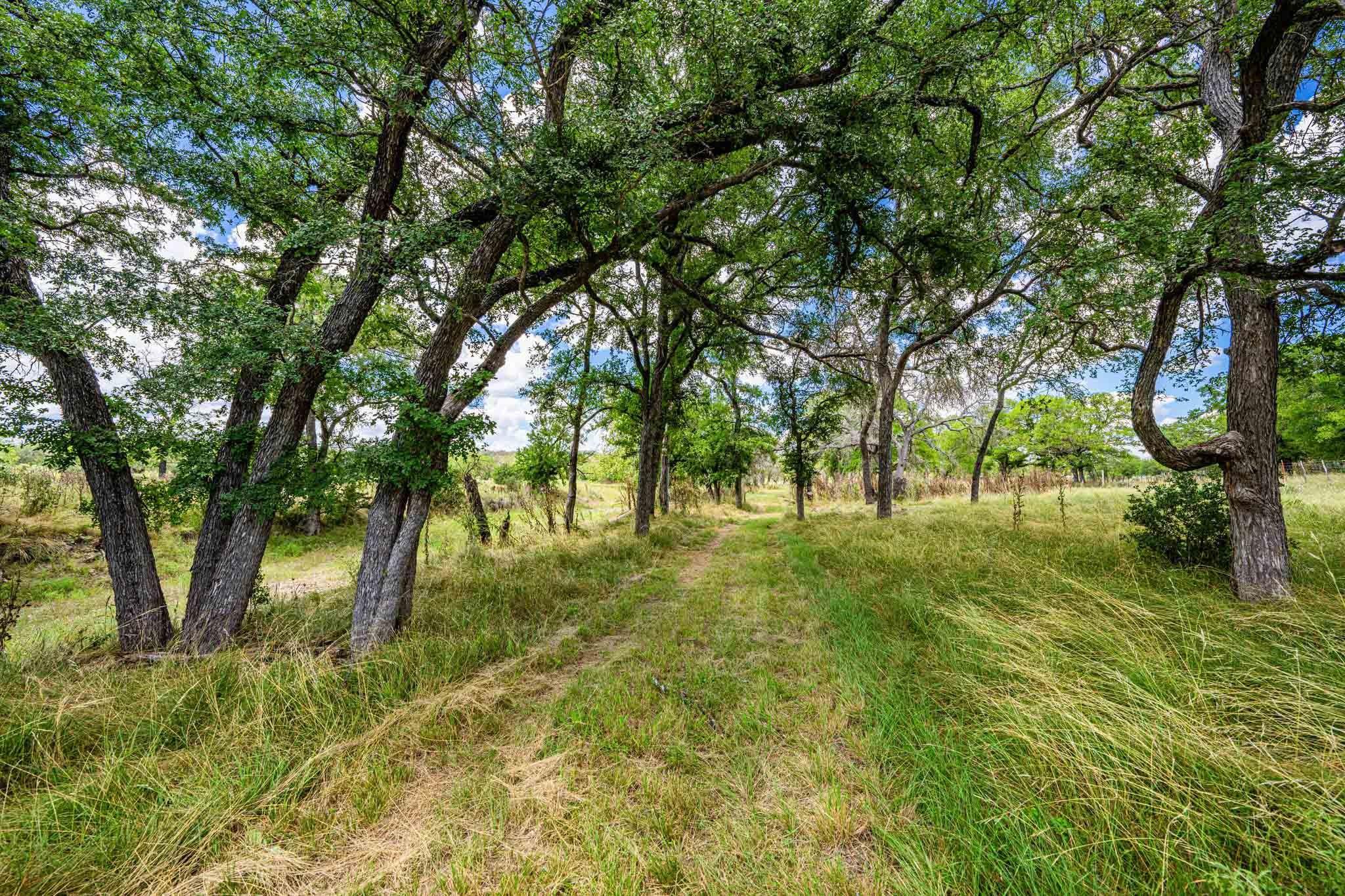 9352 Ranch Road 783 Property Photo 34