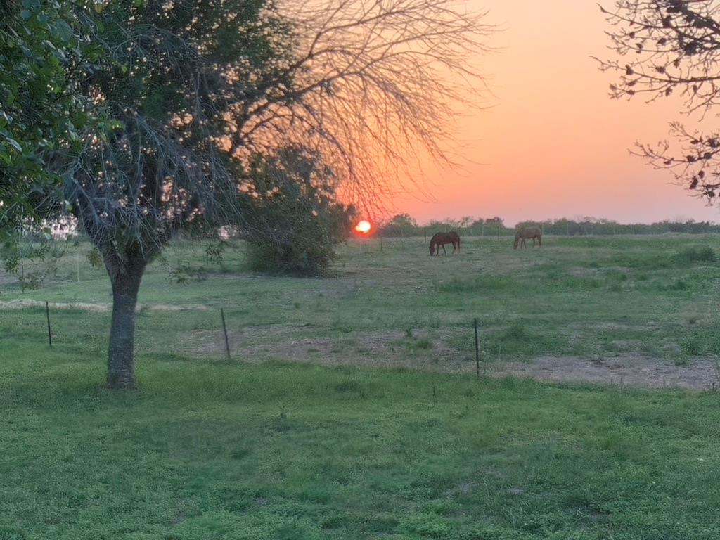 1190 Dickerson Rd Property Photo 4