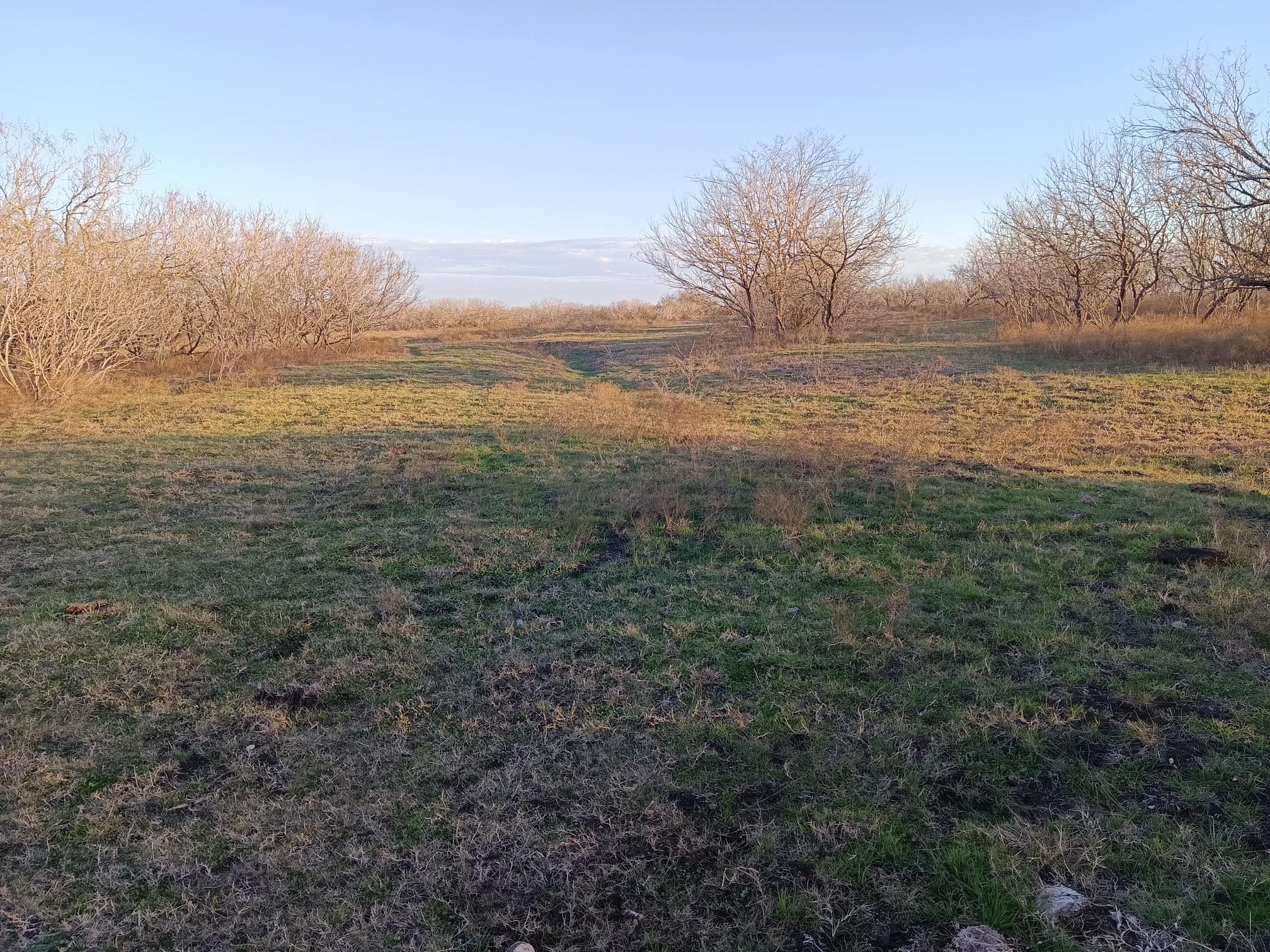 1190 Dickerson Rd Property Photo 5