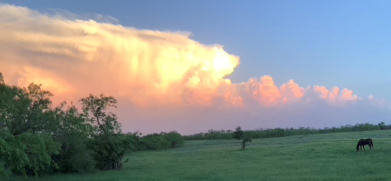 1190 Dickerson Rd Property Photo 6