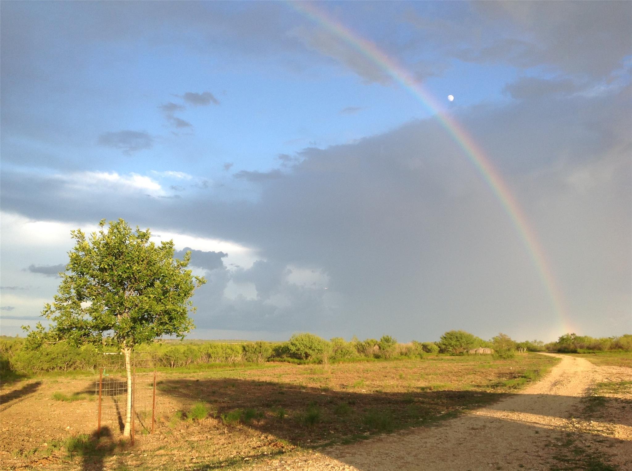 1190 Dickerson Rd Property Photo 7