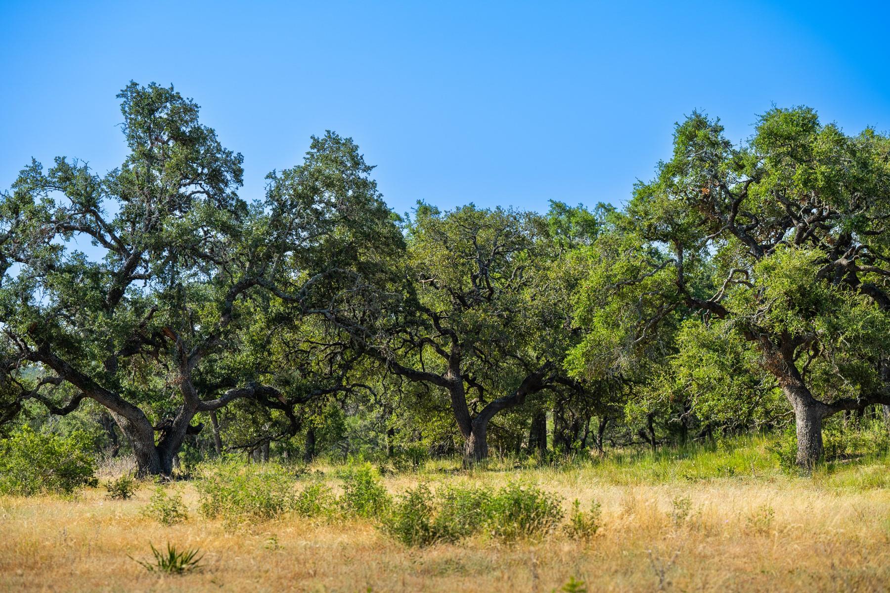 Lot 10 Tuscany Dr Property Photo 3