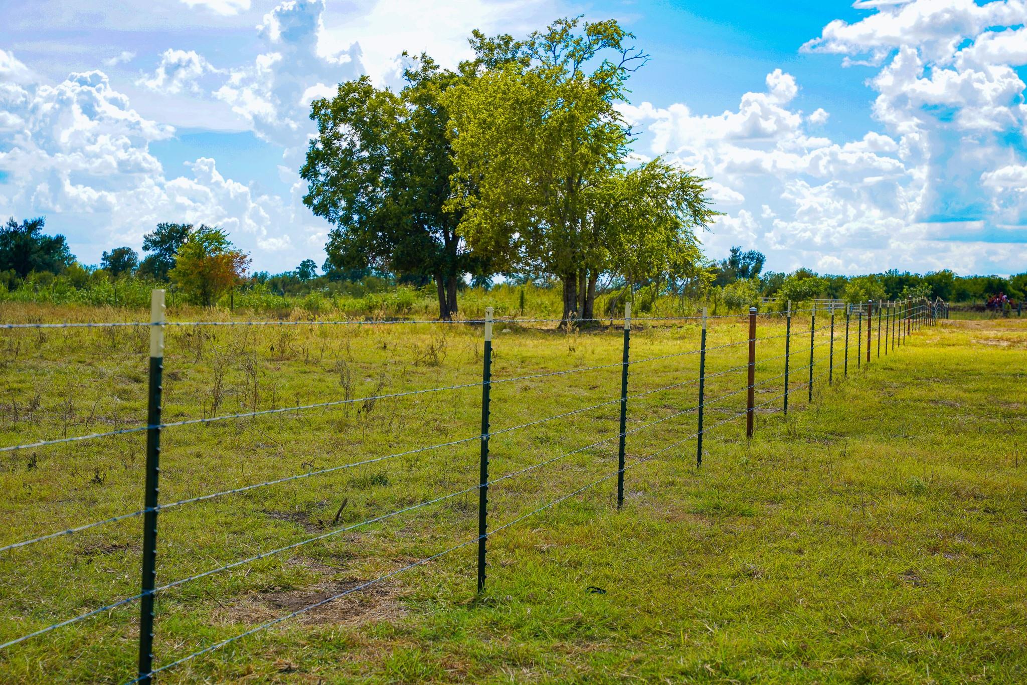 0 Cr 470 Ctr Property Photo 29