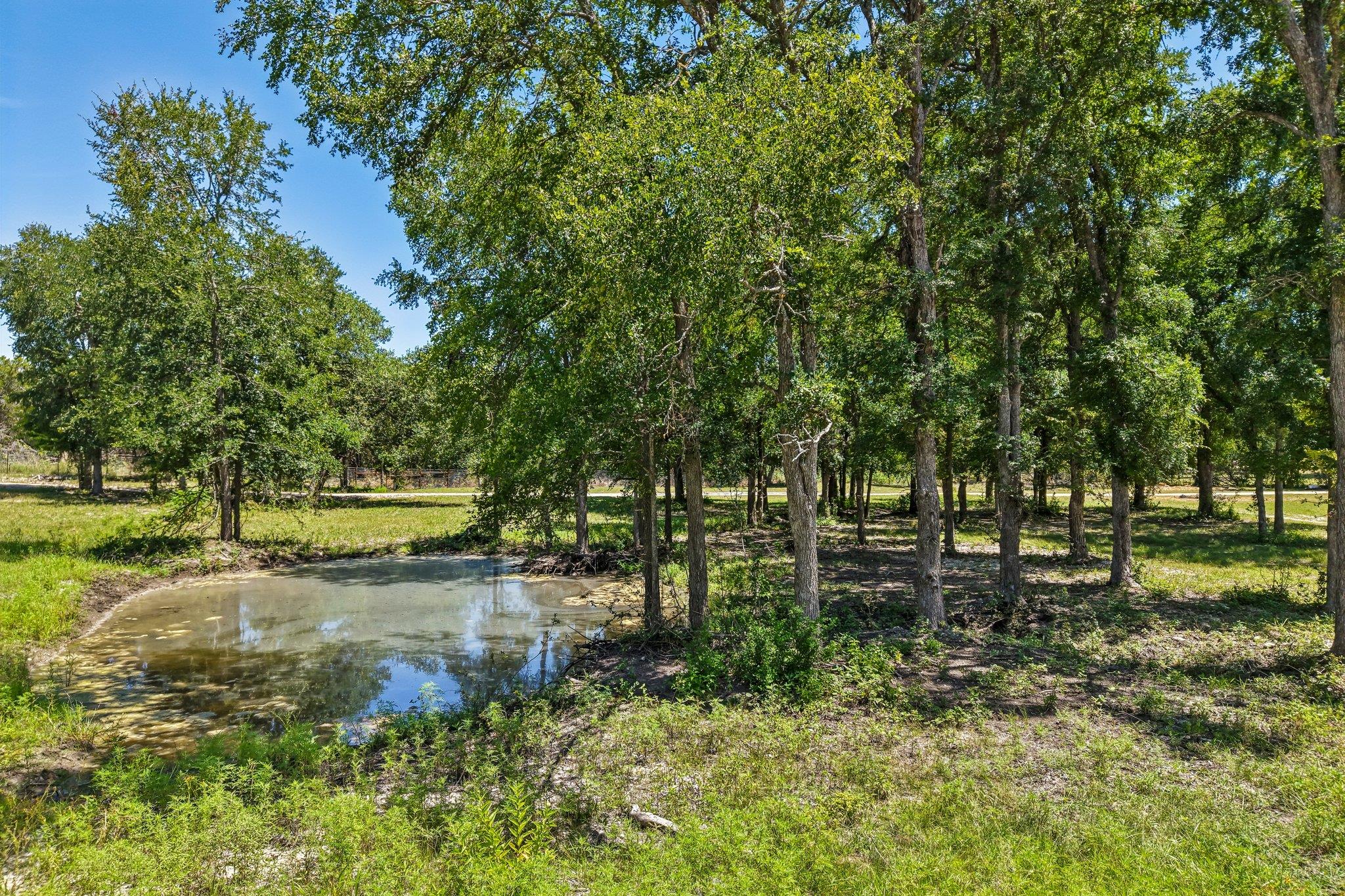9240 County Road 272 None