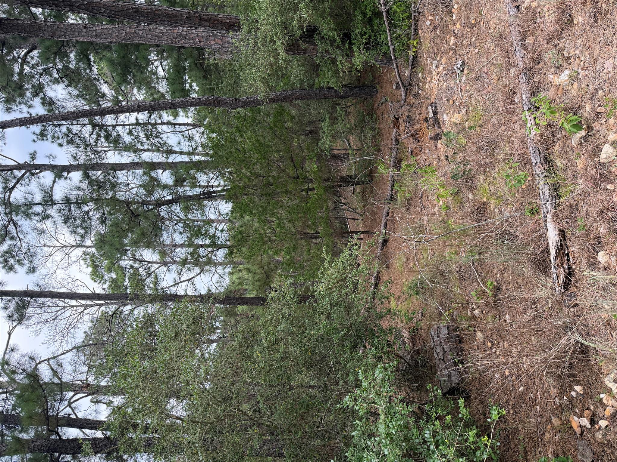 Lot 217 Hekili Dr Property Photo 3