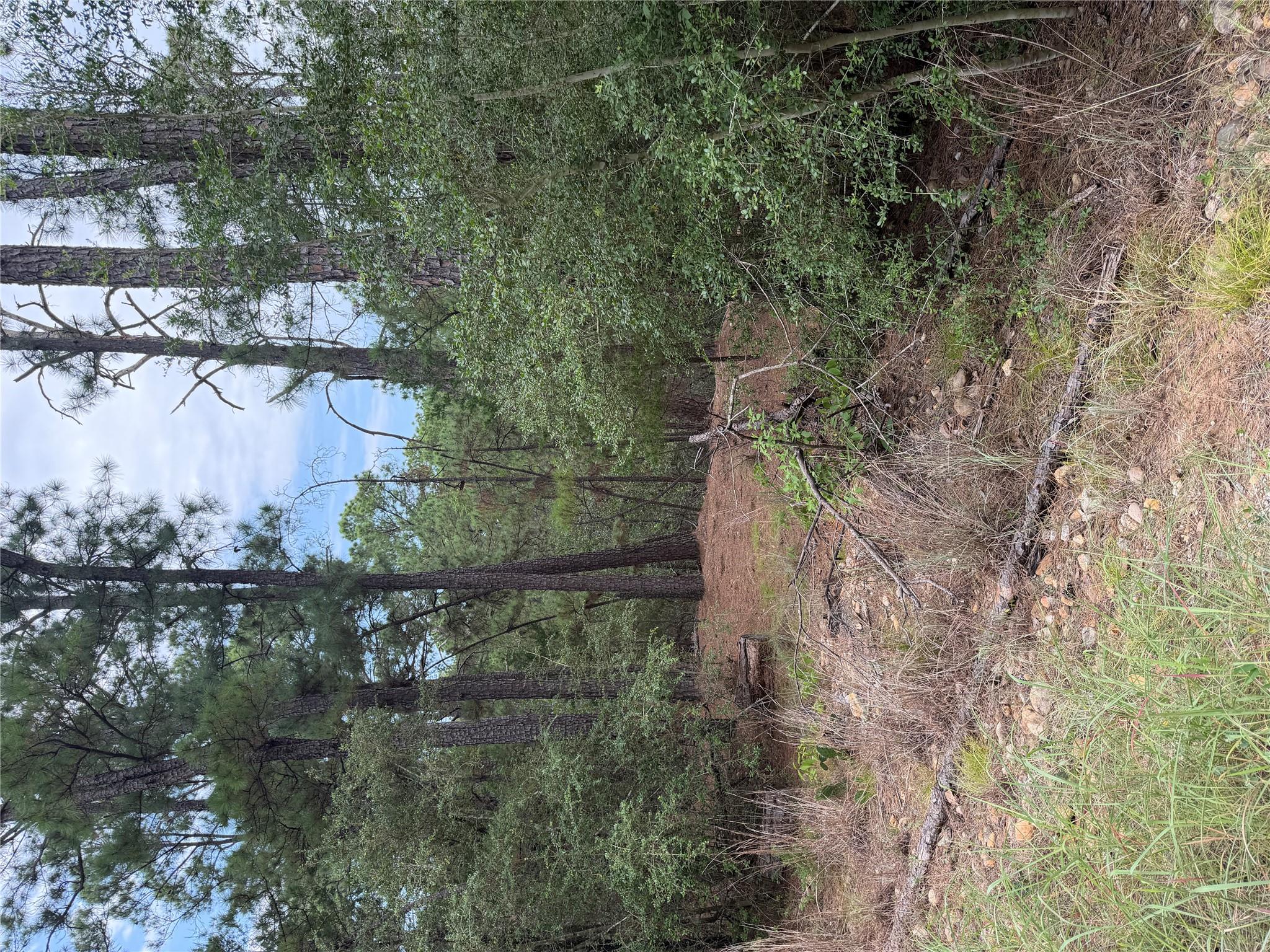 Lot 217 Hekili Dr Property Photo 4