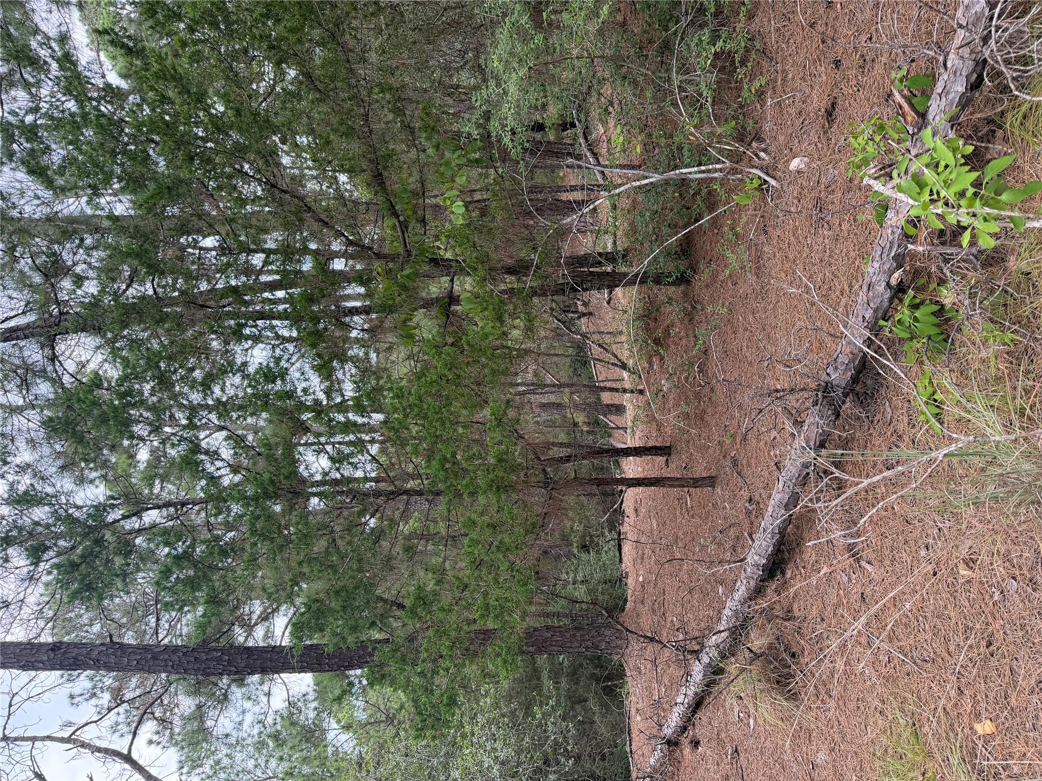 Lot 217 Hekili Dr Property Photo 5