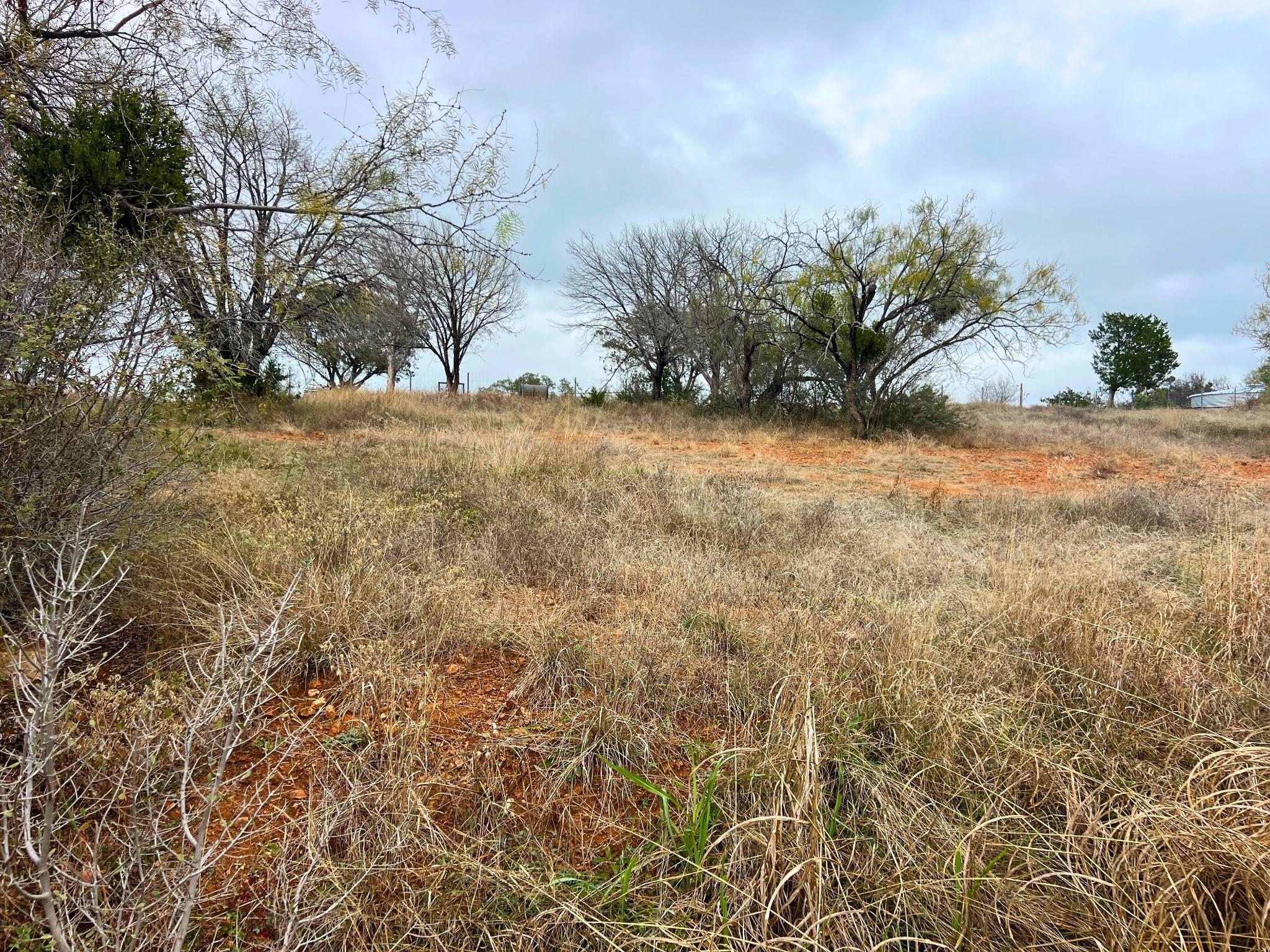 Tbd Apache Tears None Property Photo 13