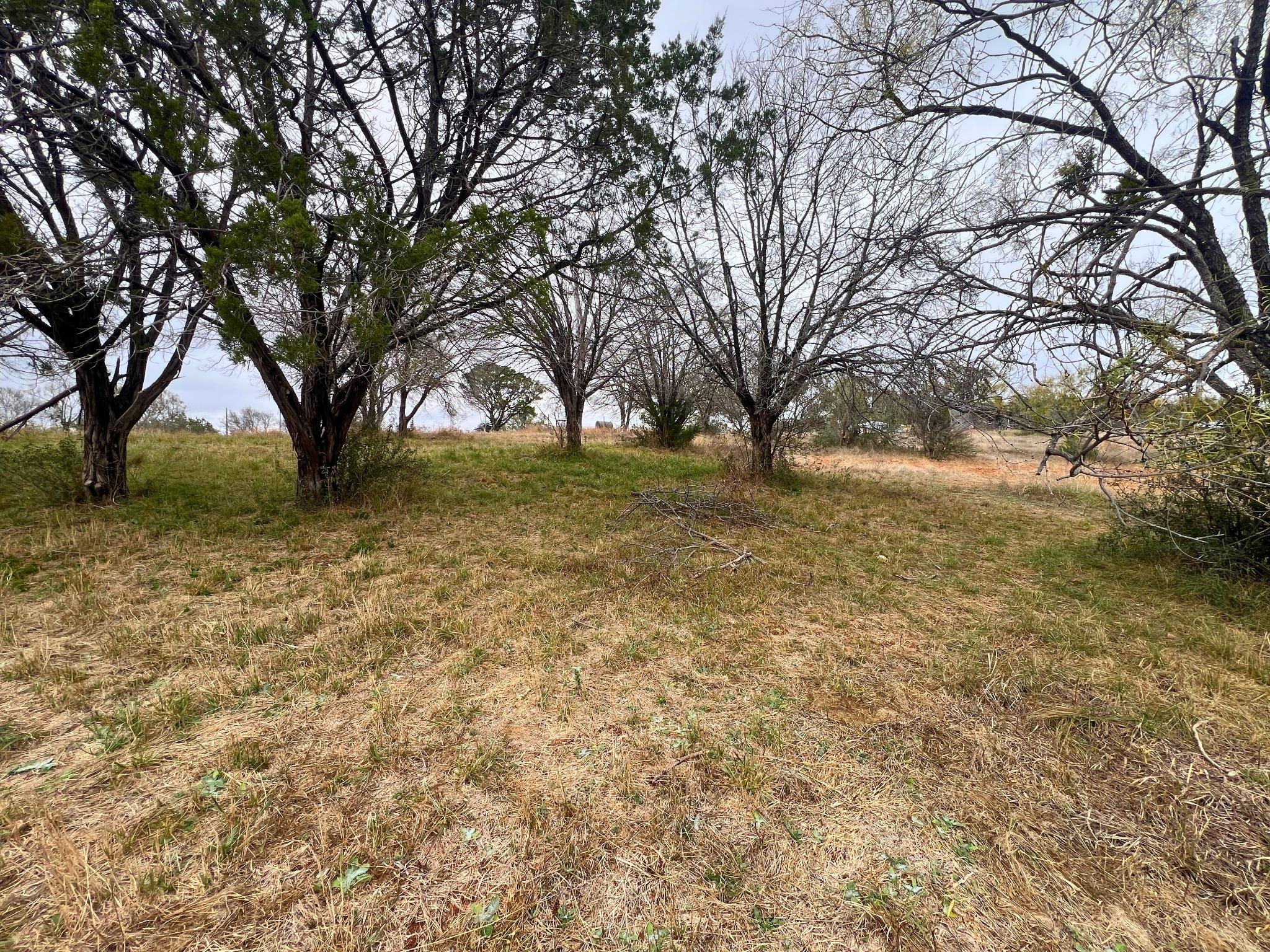 Tbd Apache Tears None Property Photo 14