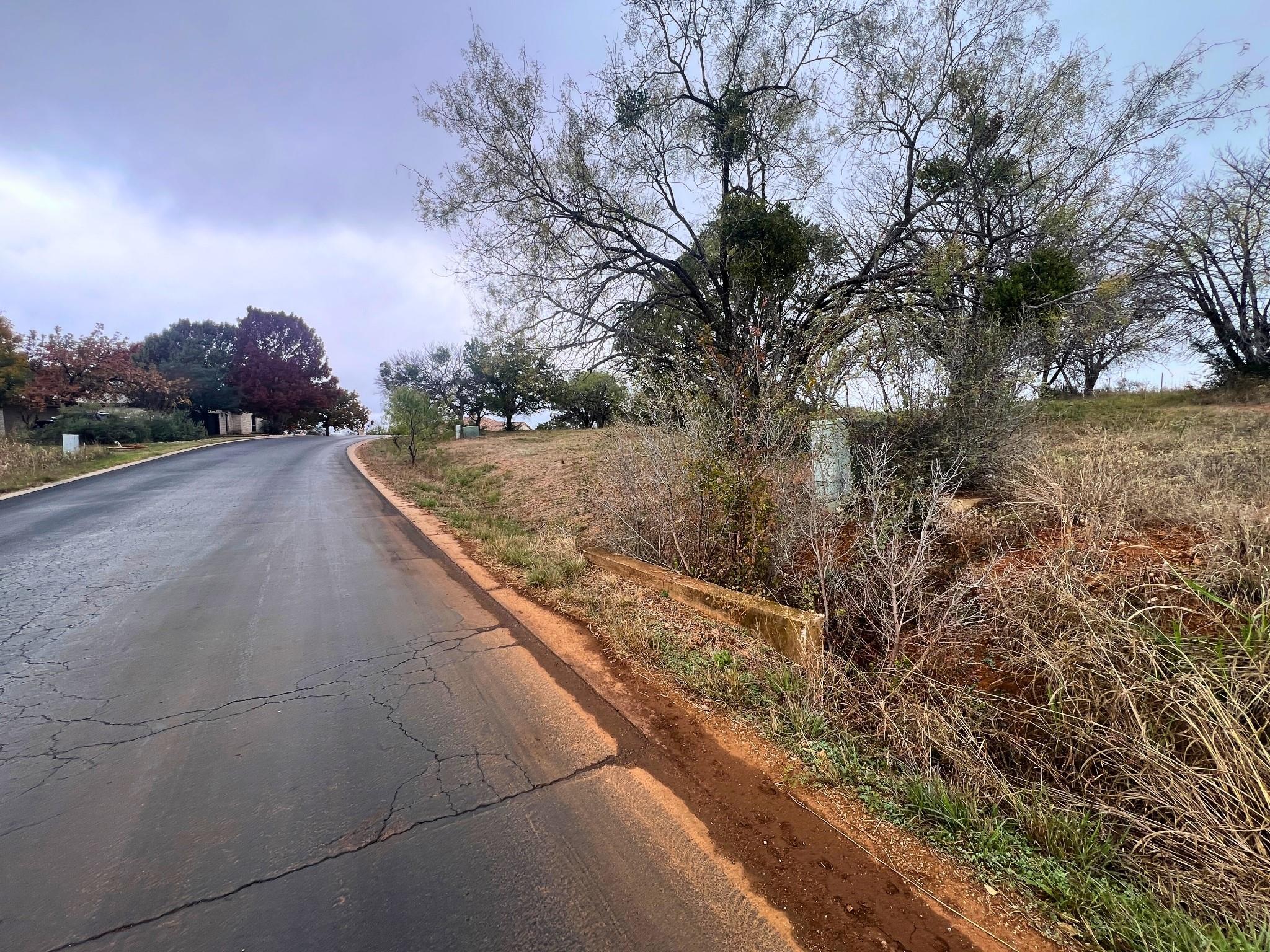 Tbd Apache Tears None Property Photo 16