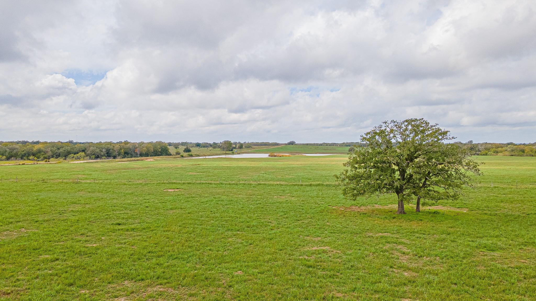 Tbd Armstrong Derry Rd Property Photo 12
