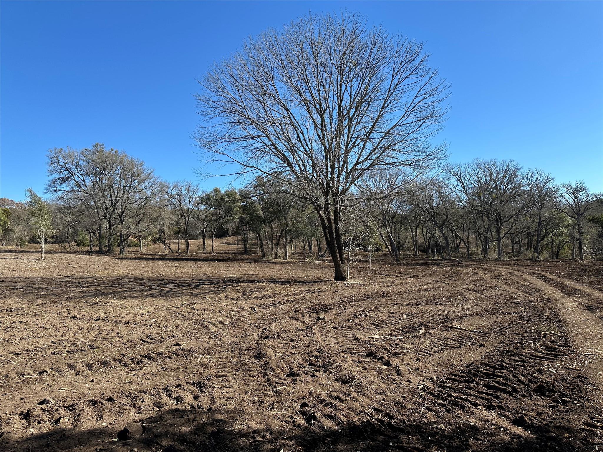 Tract 1 Fm 2955 Property Photo 6