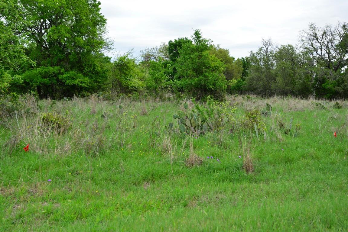 Tbd Rustic Trl Property Photo 3