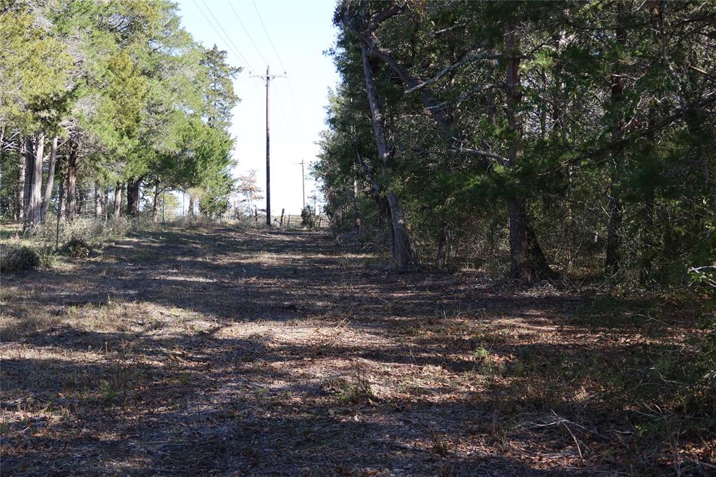 22314 Thistle Ln Property Photo 4