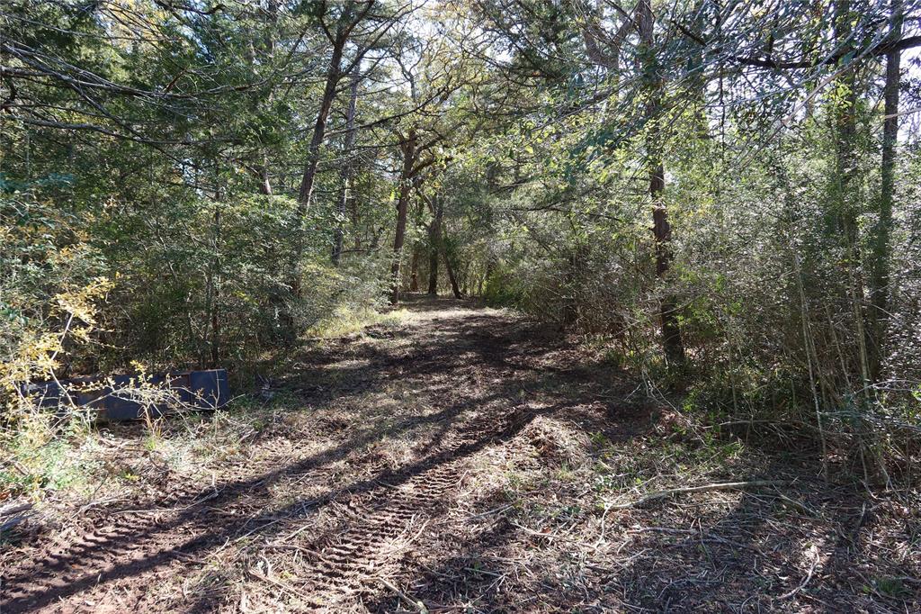 22314 Thistle Ln Property Photo 12