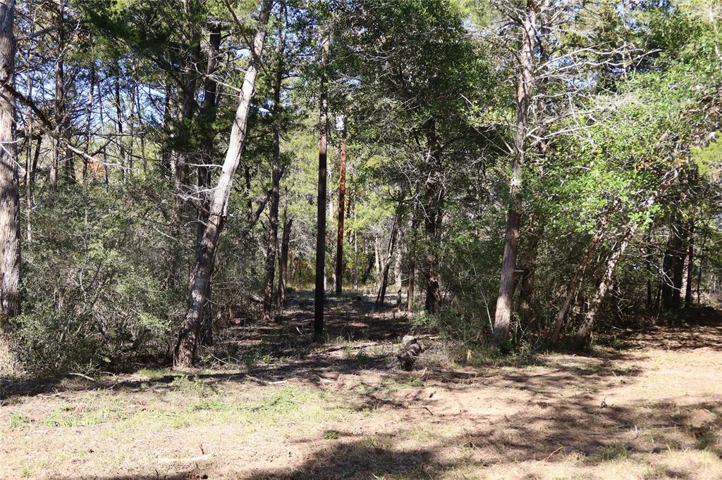 22314 Thistle Ln Property Photo 20