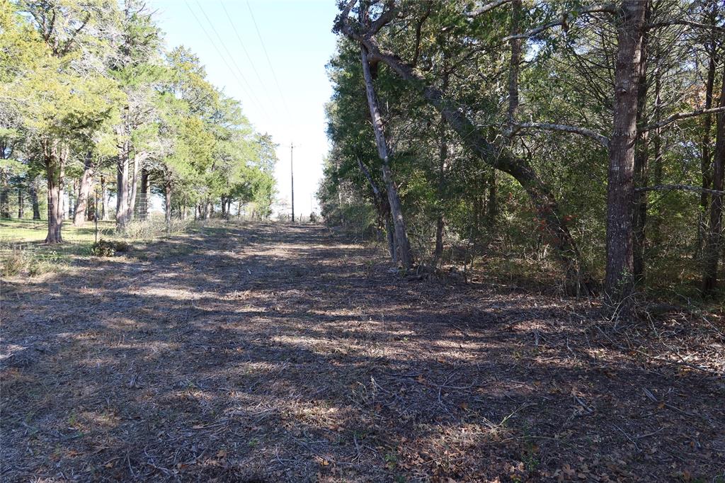 22314 Thistle Ln Property Photo 22