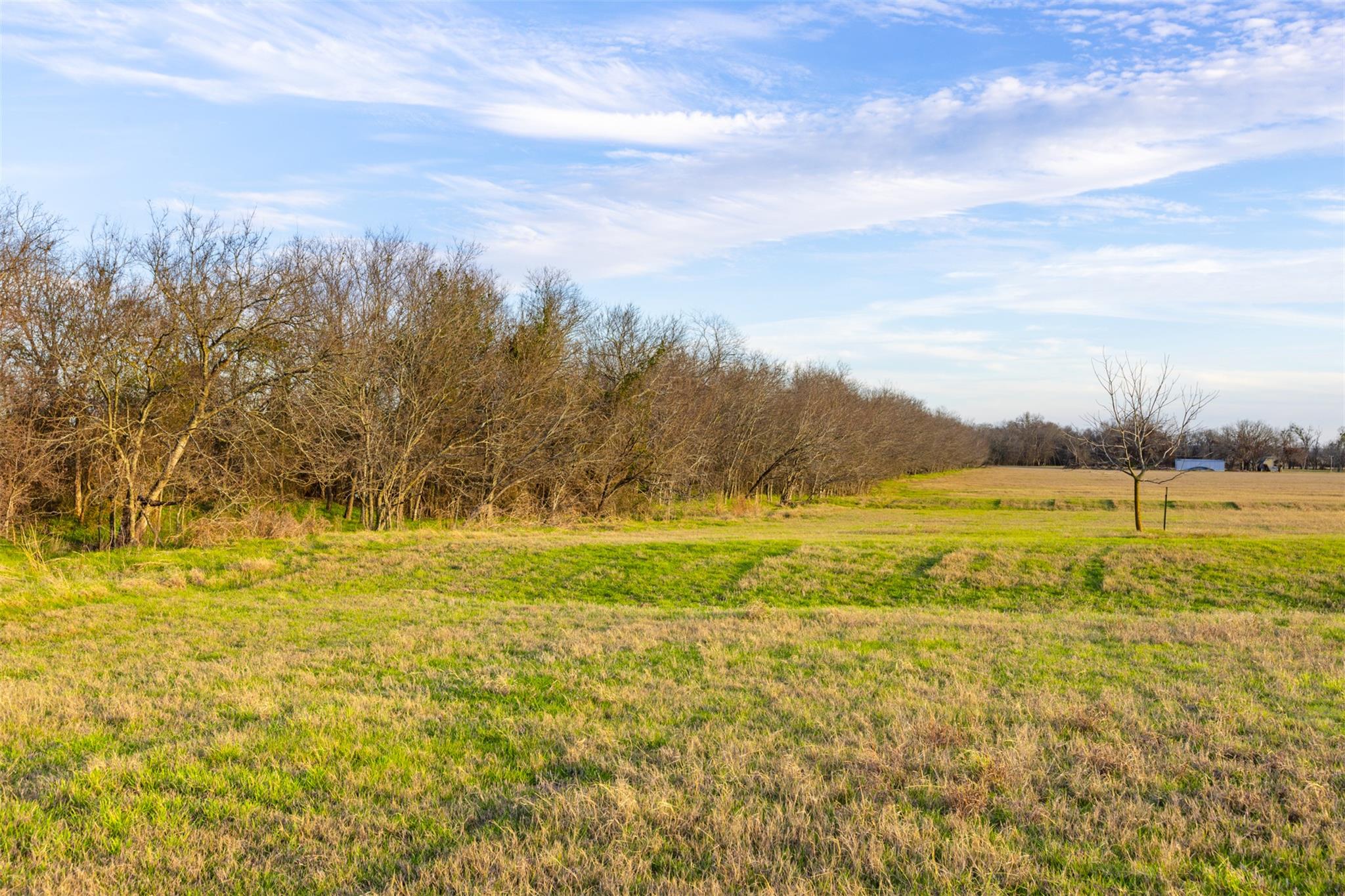 3622 N Fm 486 Property Photo 38