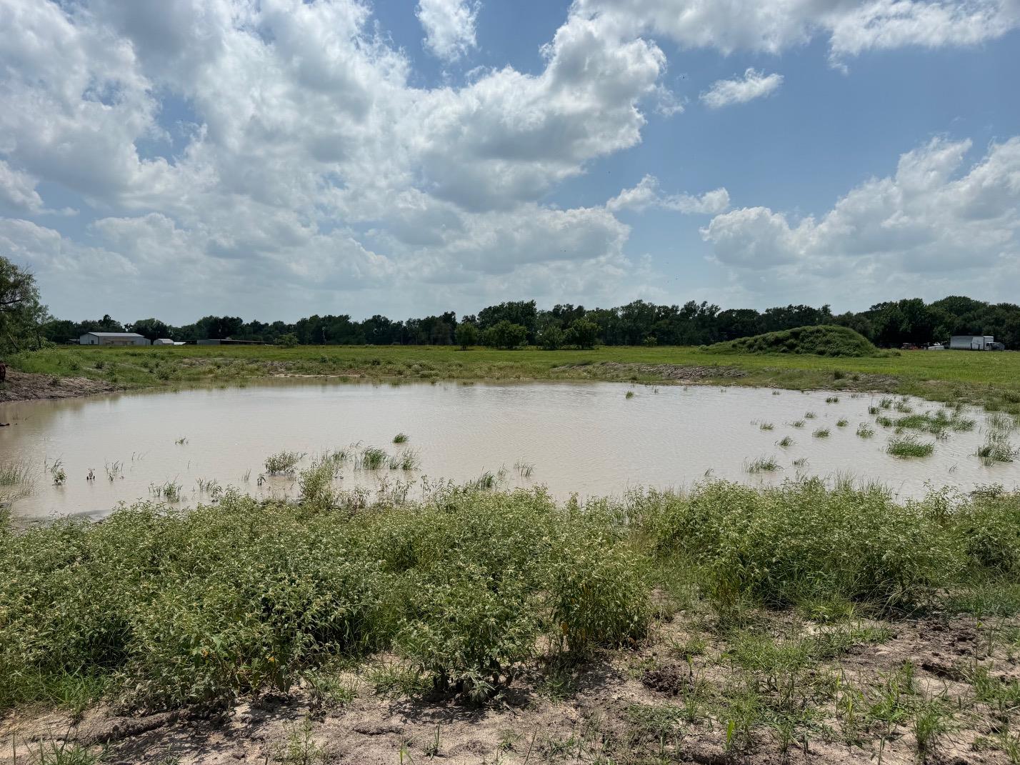 0000 Tbd Fm 979 None Property Photo 6