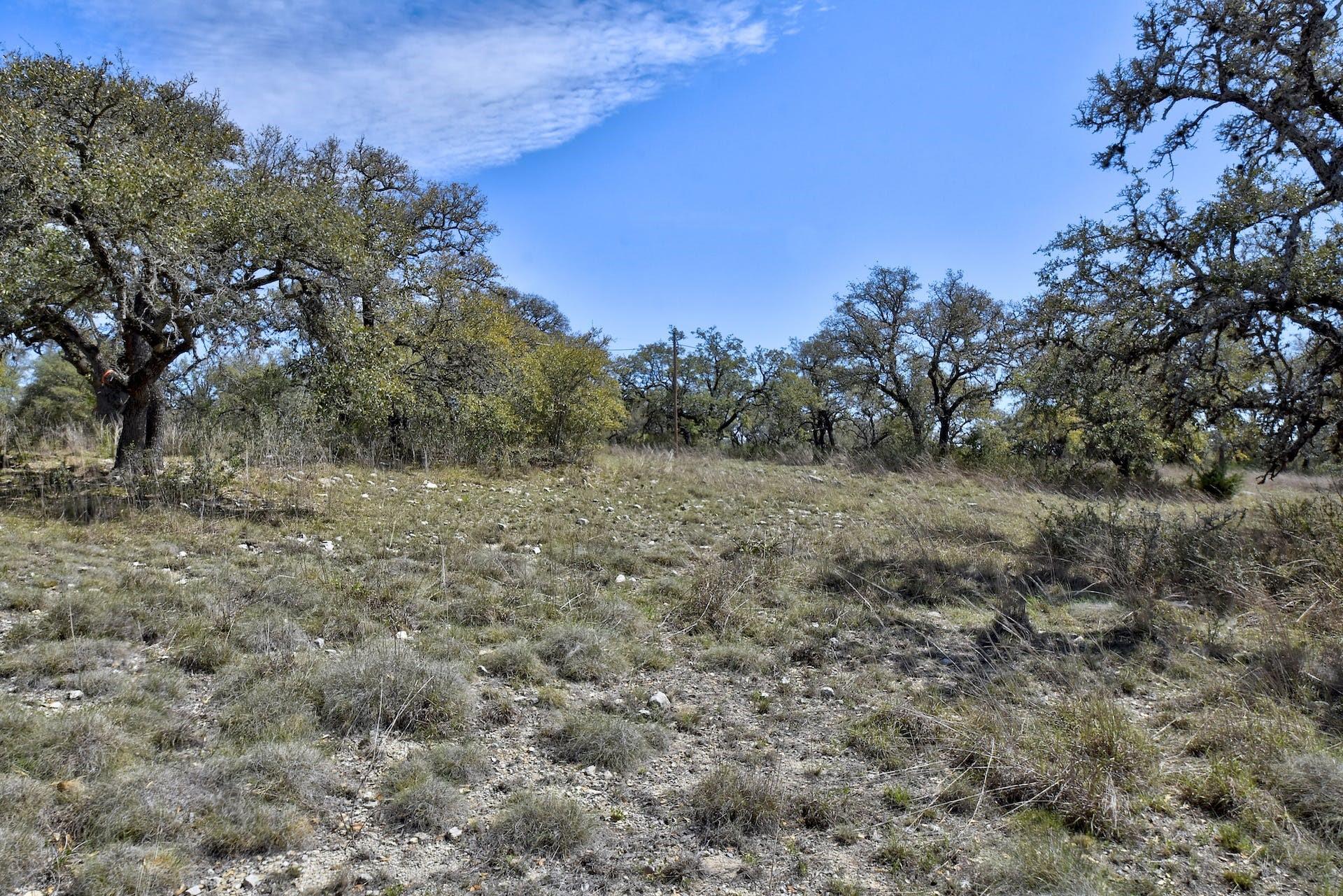 343 Cattle Creek Dr Property Photo 21
