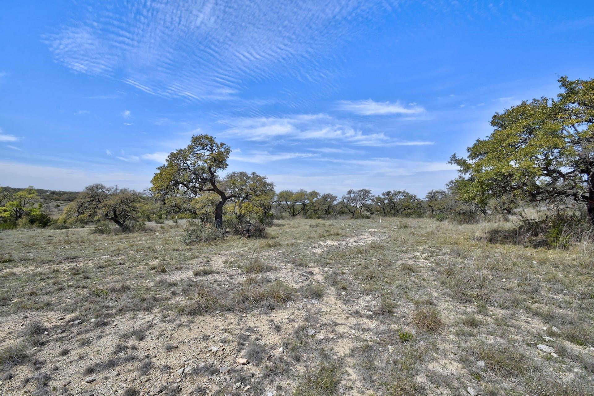 343 Cattle Creek Dr Property Photo 22