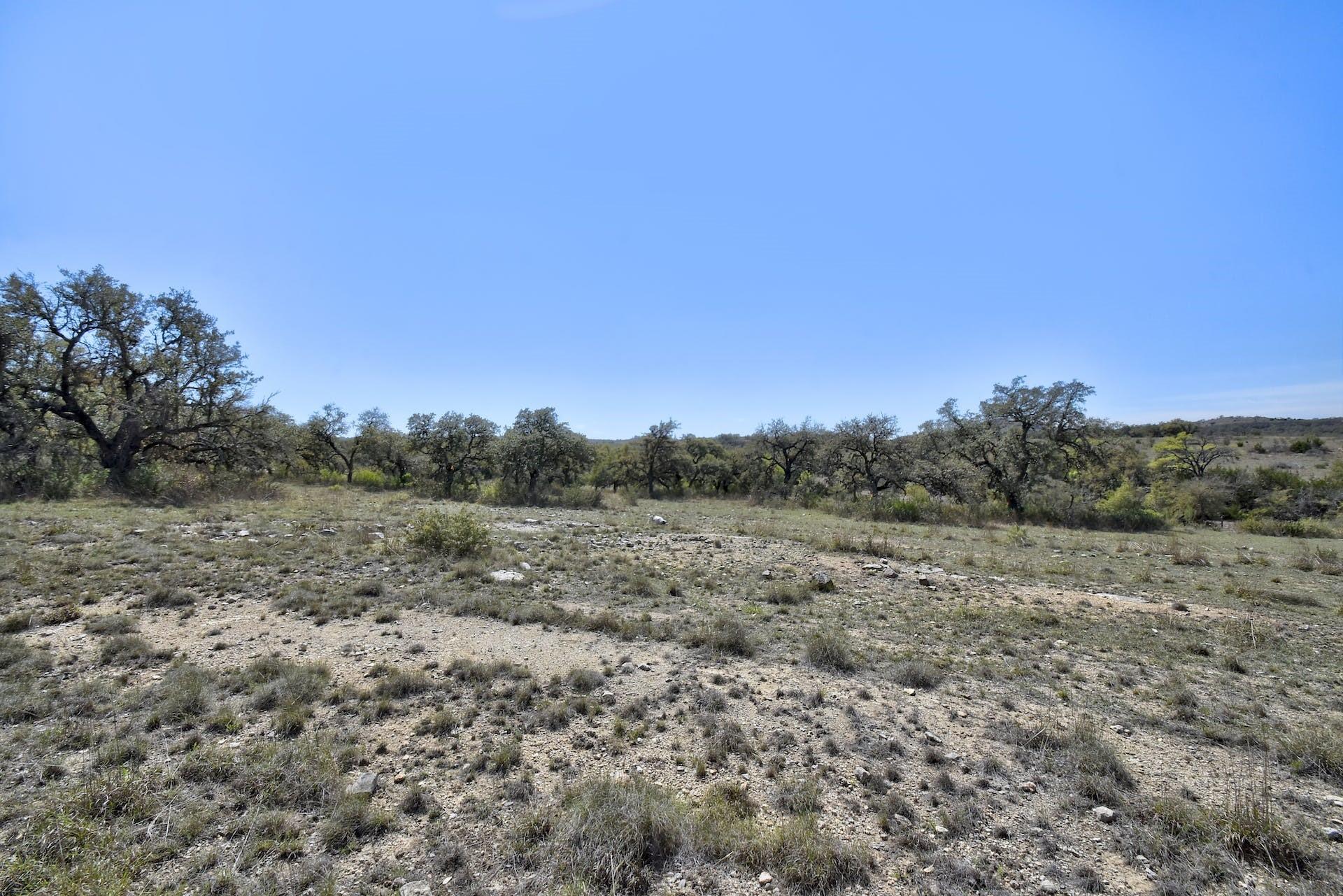 343 Cattle Creek Dr Property Photo 23