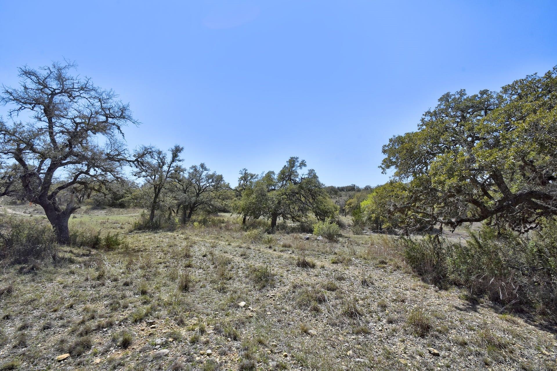 343 Cattle Creek Dr Property Photo 26