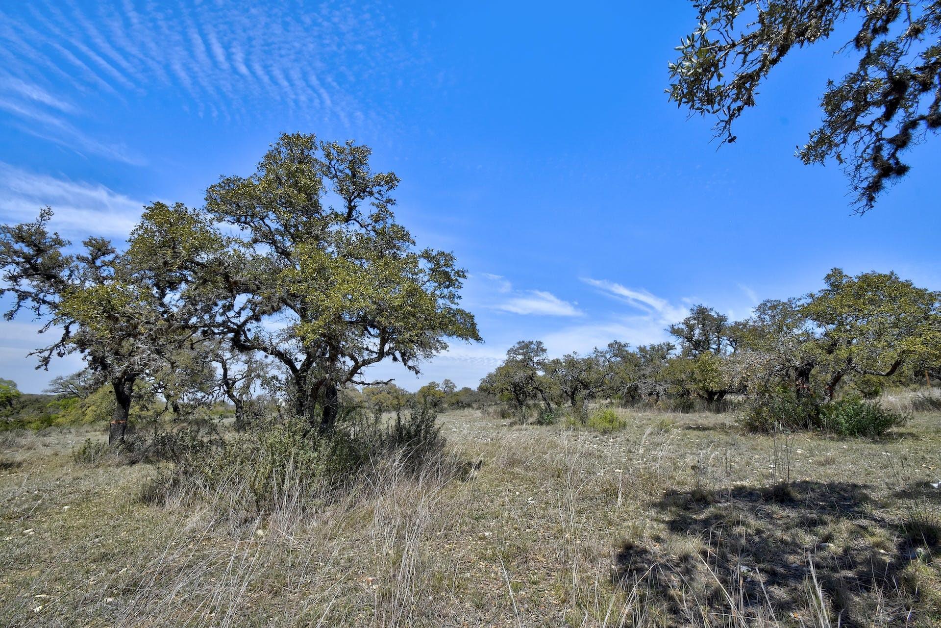 343 Cattle Creek Dr Property Photo 27