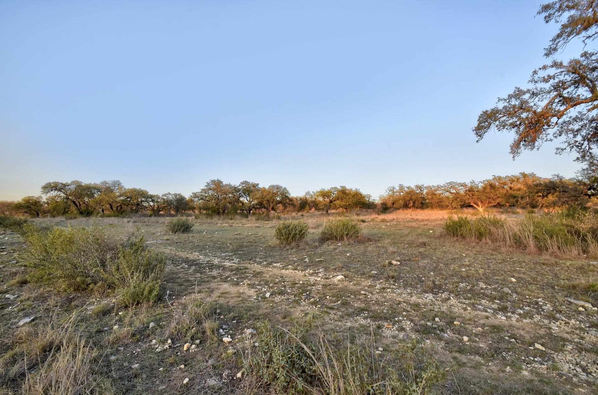 343 Cattle Creek Dr Property Photo 32