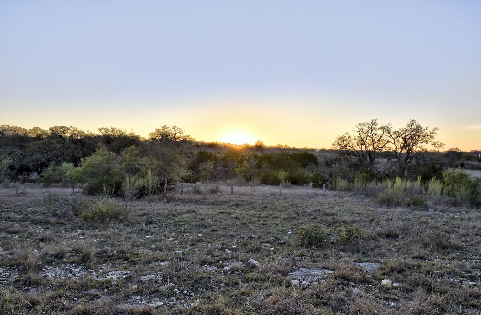 343 Cattle Creek Dr Property Photo 33