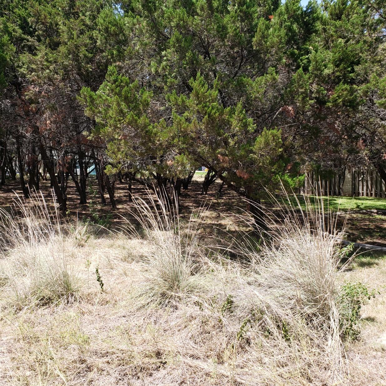 119 Indian Bend Dr Property Photo 2