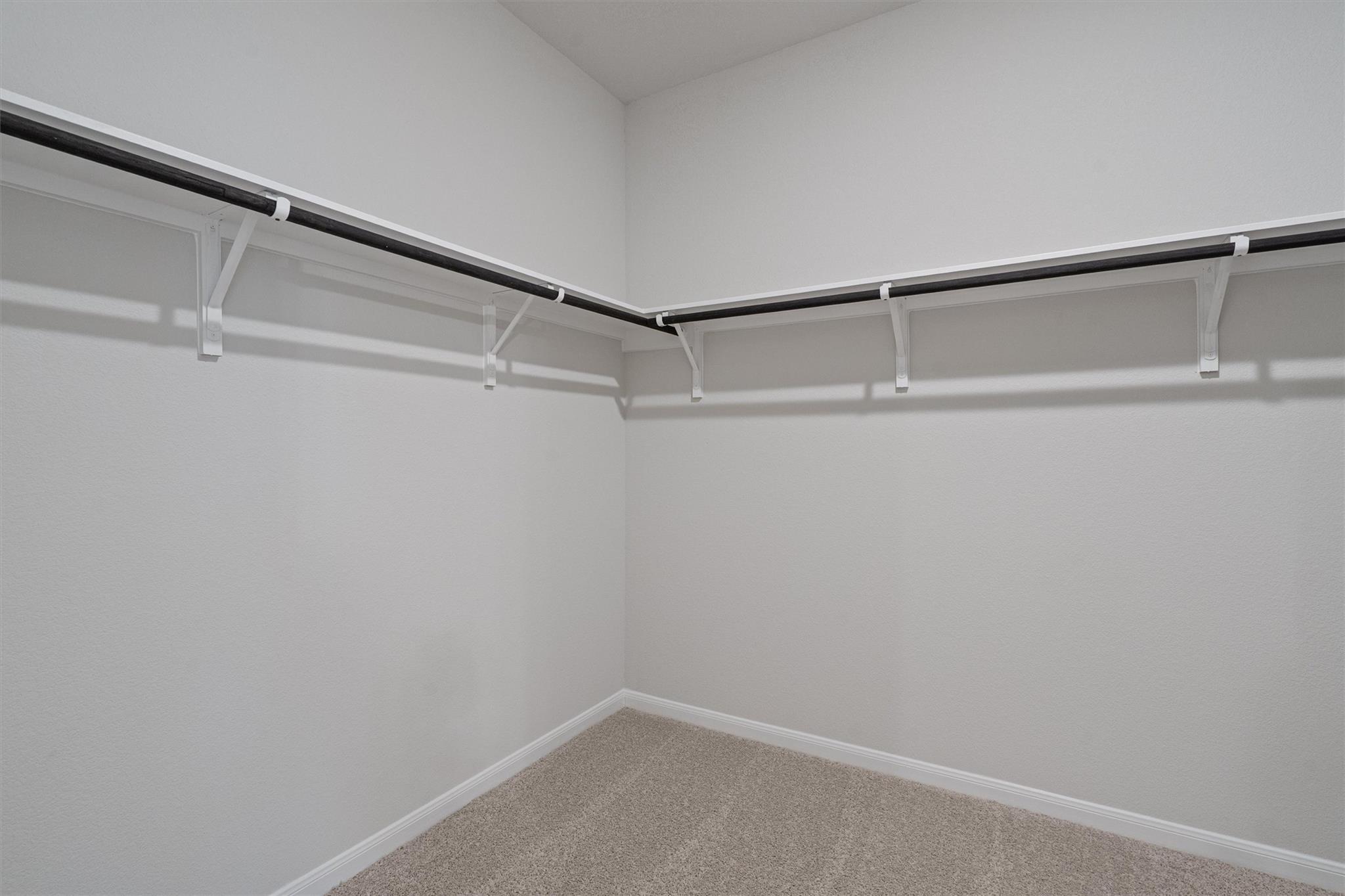 313 Timber Brook Dr Property Photo 18