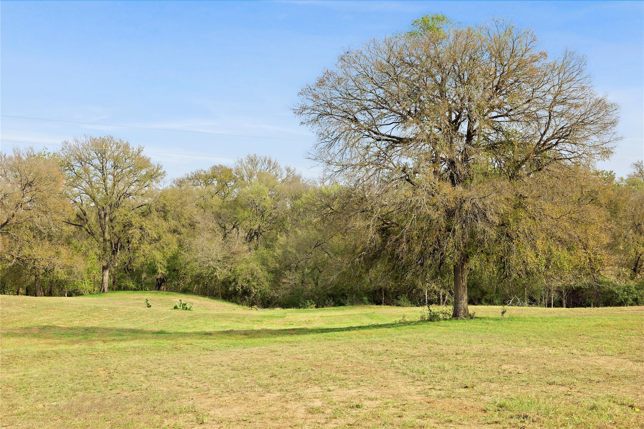 611 Fm 969 Property Photo 4