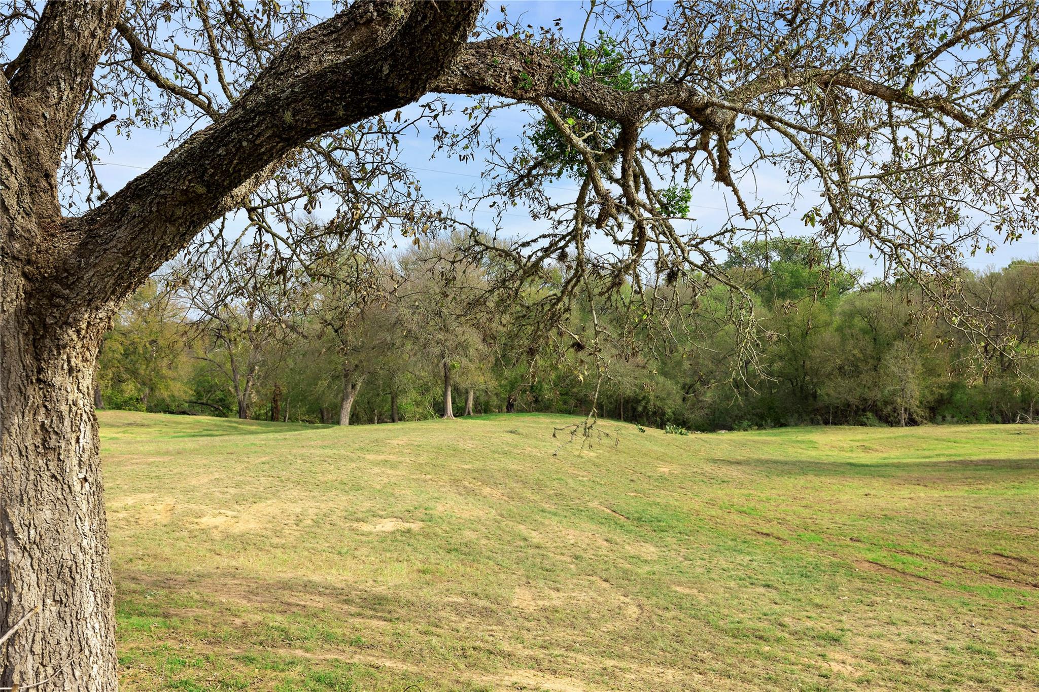 611 Fm 969 Property Photo 5