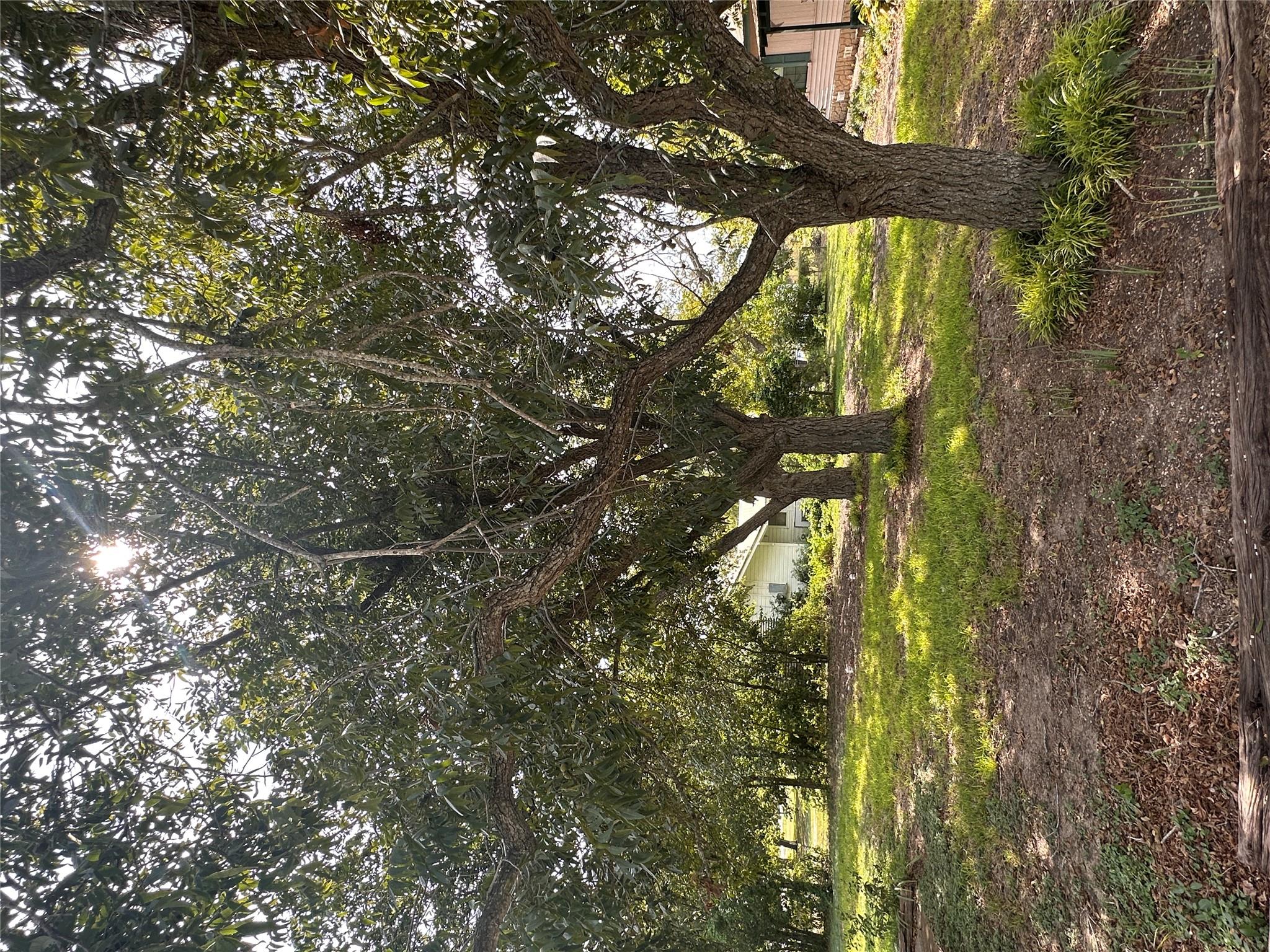9732 Fm 621 None Property Photo 11