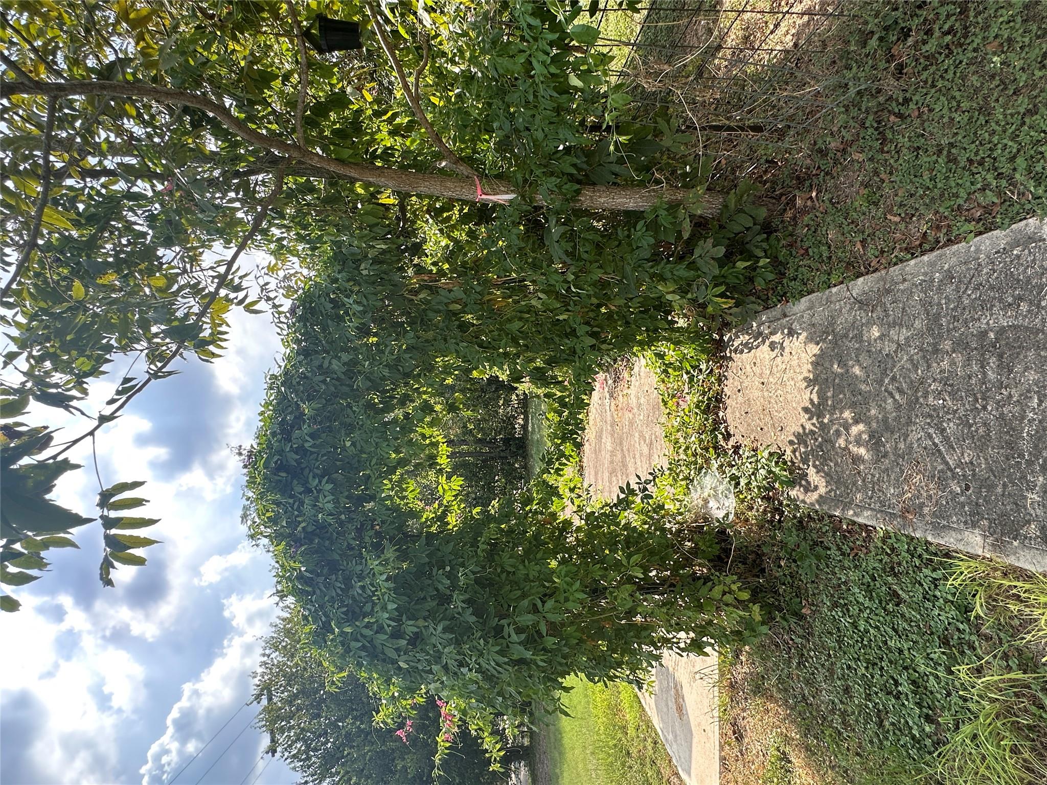 9732 Fm 621 None Property Photo 14