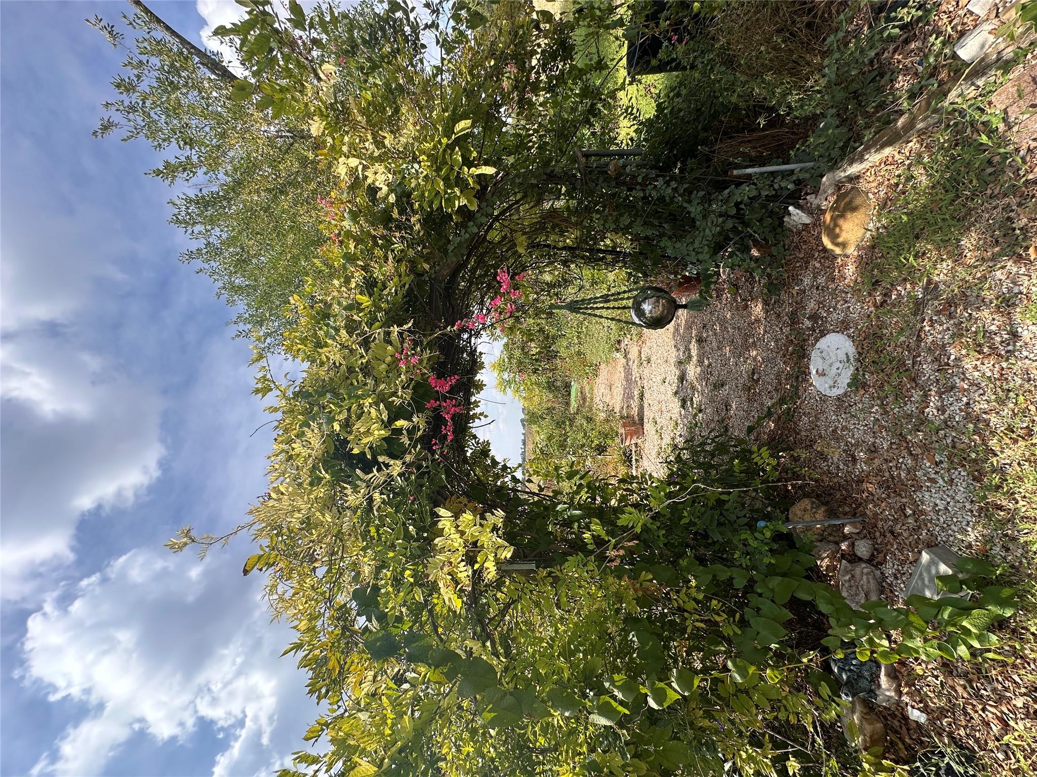 9732 Fm 621 None Property Photo 20