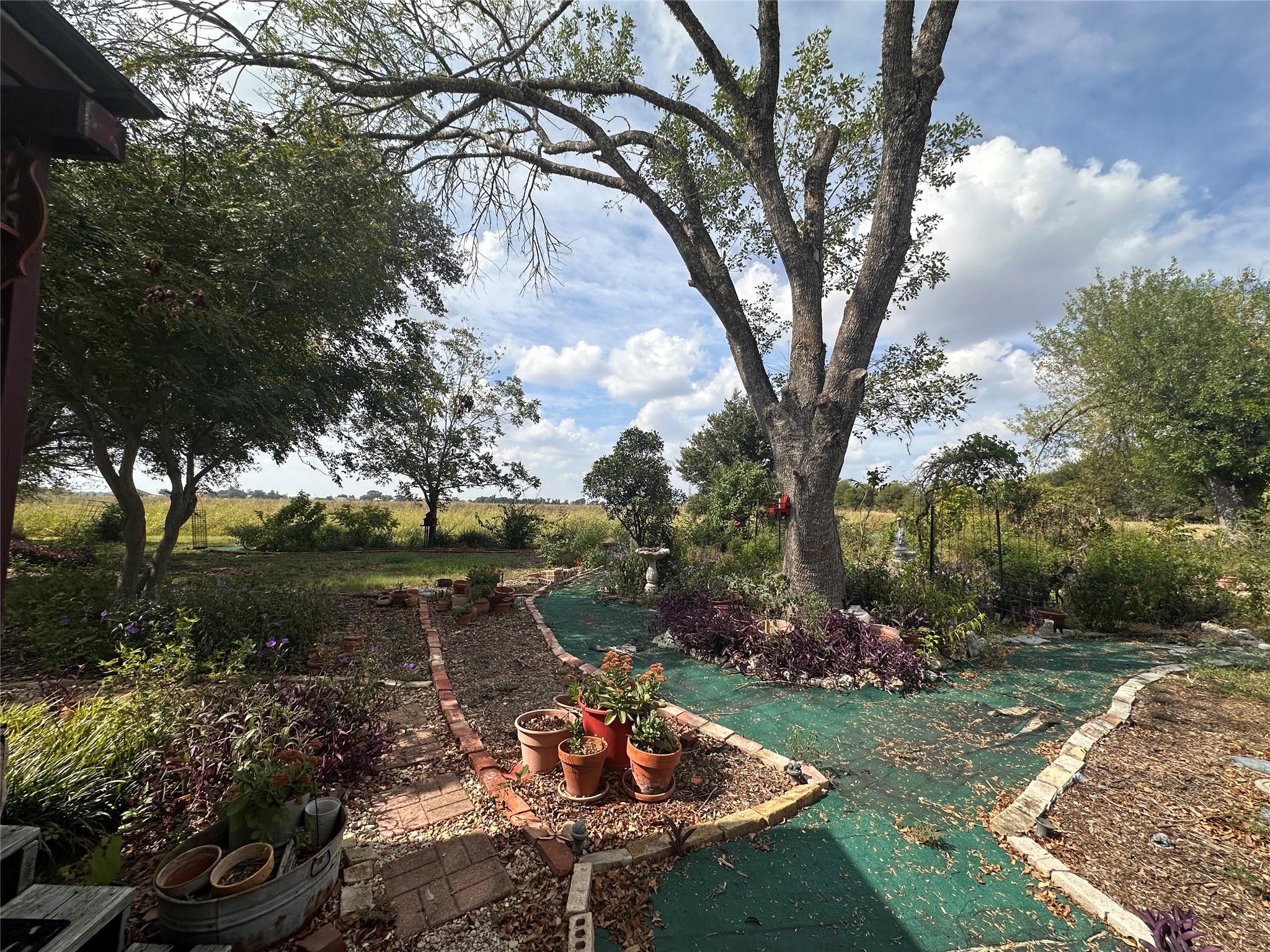 9732 Fm 621 None Property Photo 22