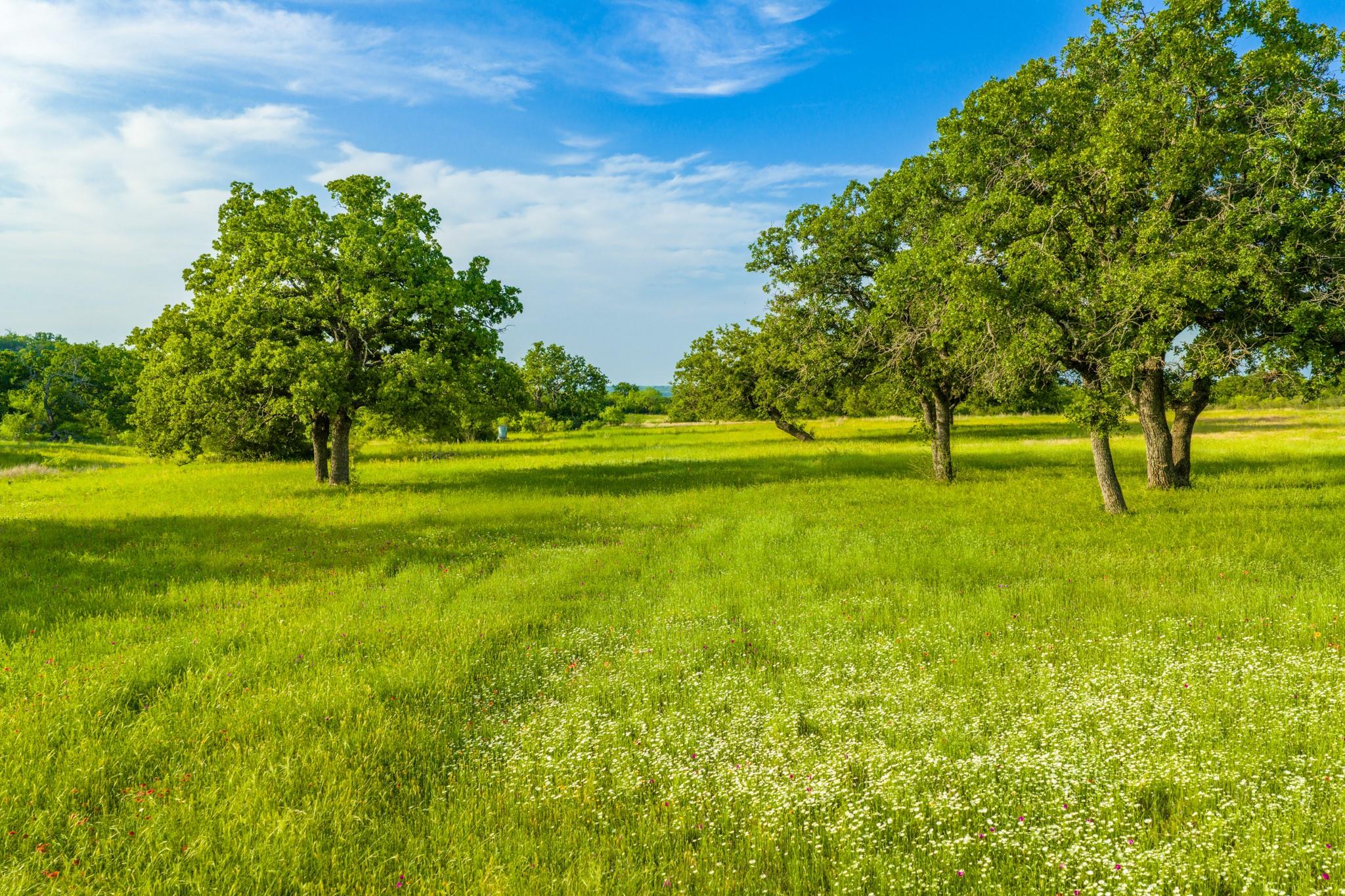 11079 Cr 266 None Property Photo 5