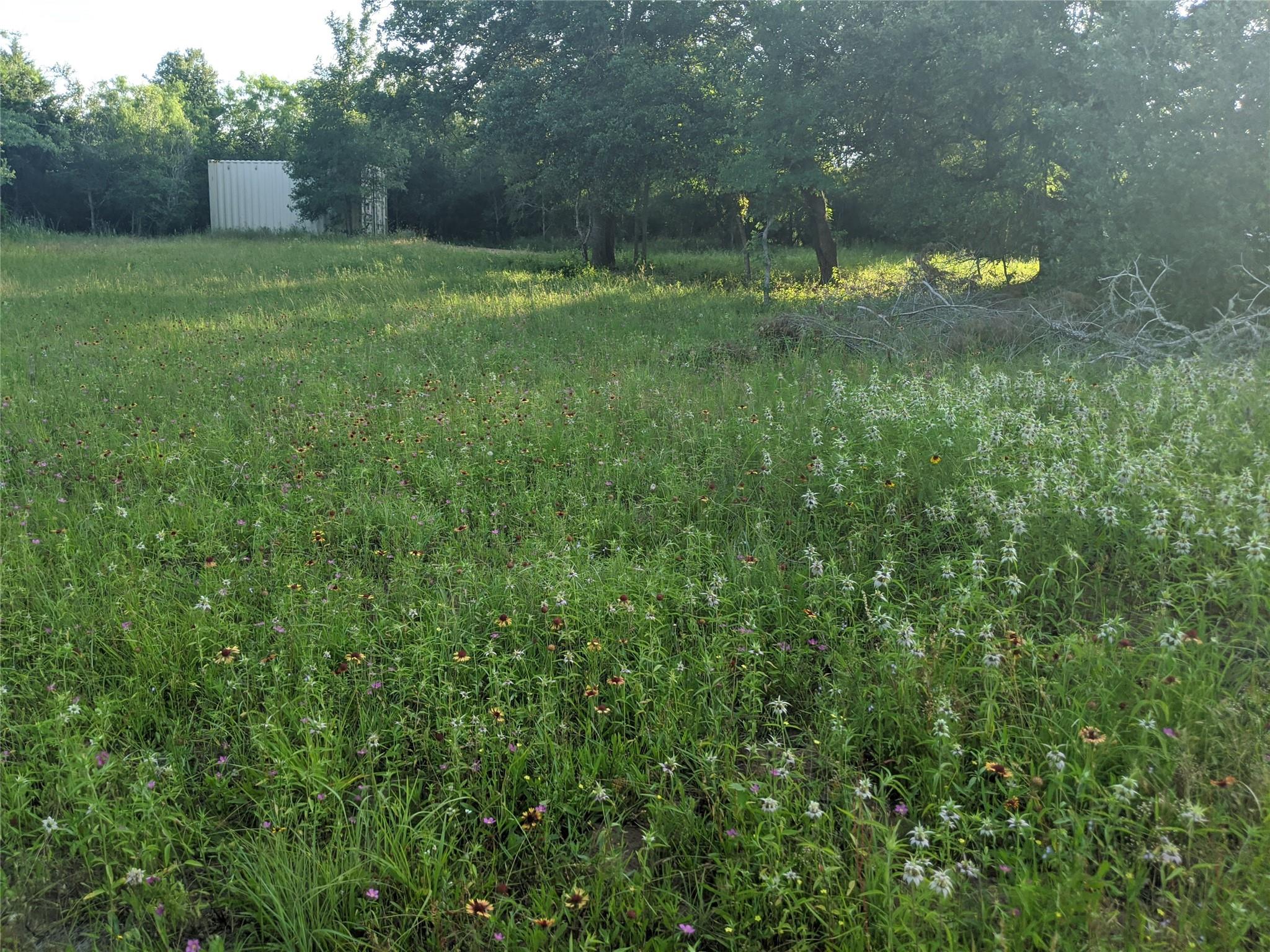 272 Deadwood Rd Property Photo 4
