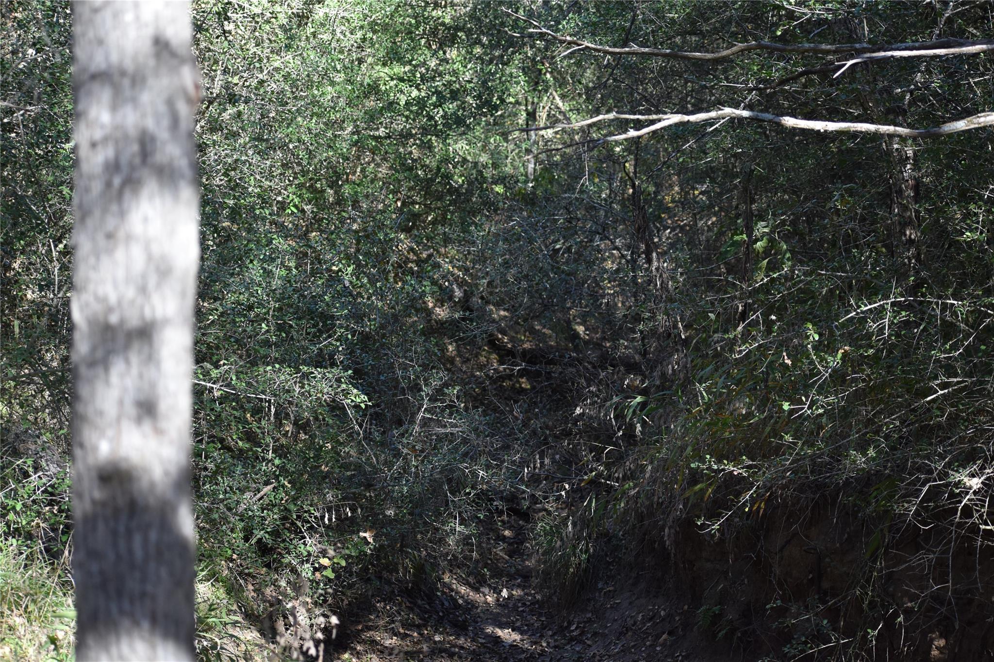 272 Deadwood Rd Property Photo 10
