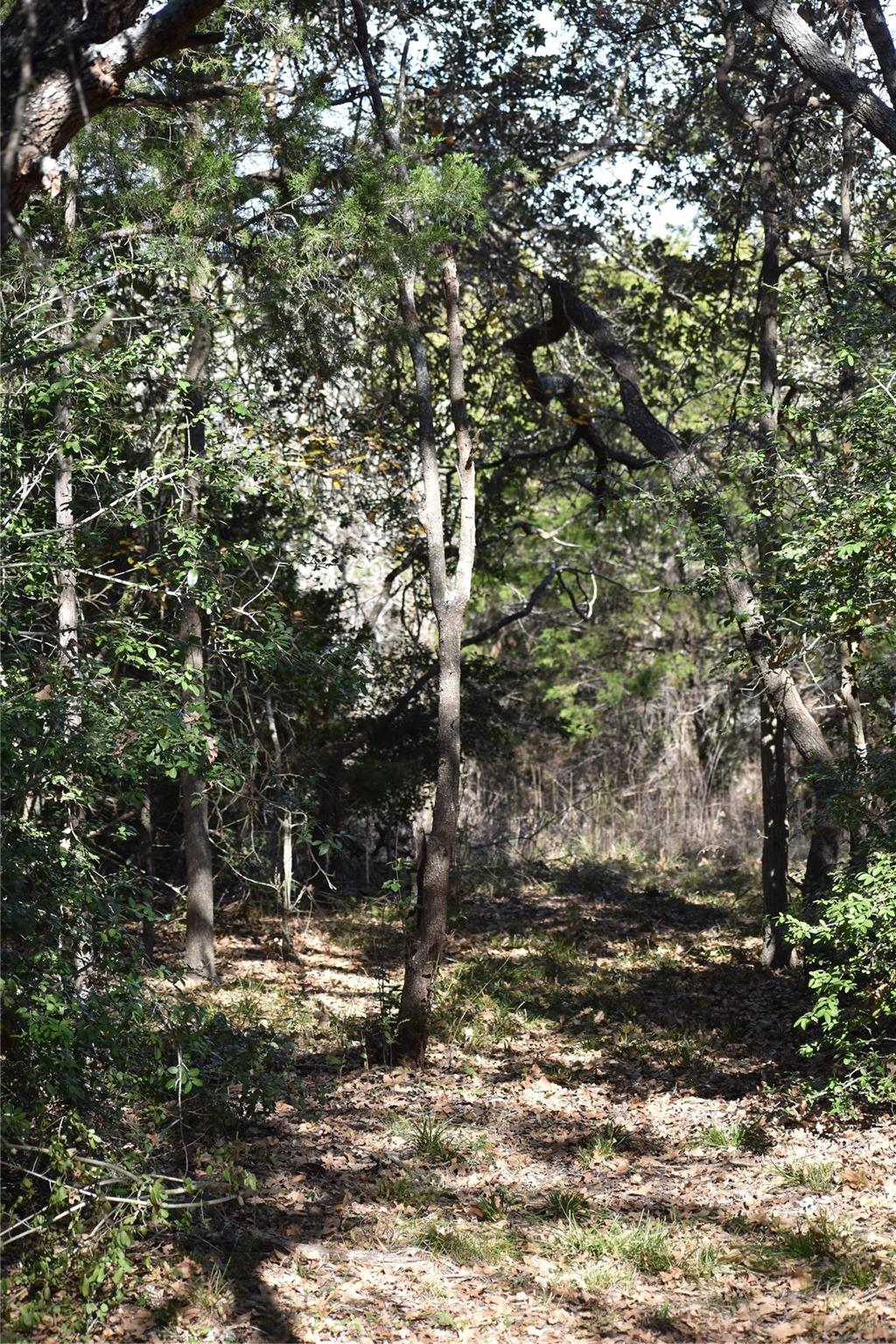 272 Deadwood Rd Property Photo 15