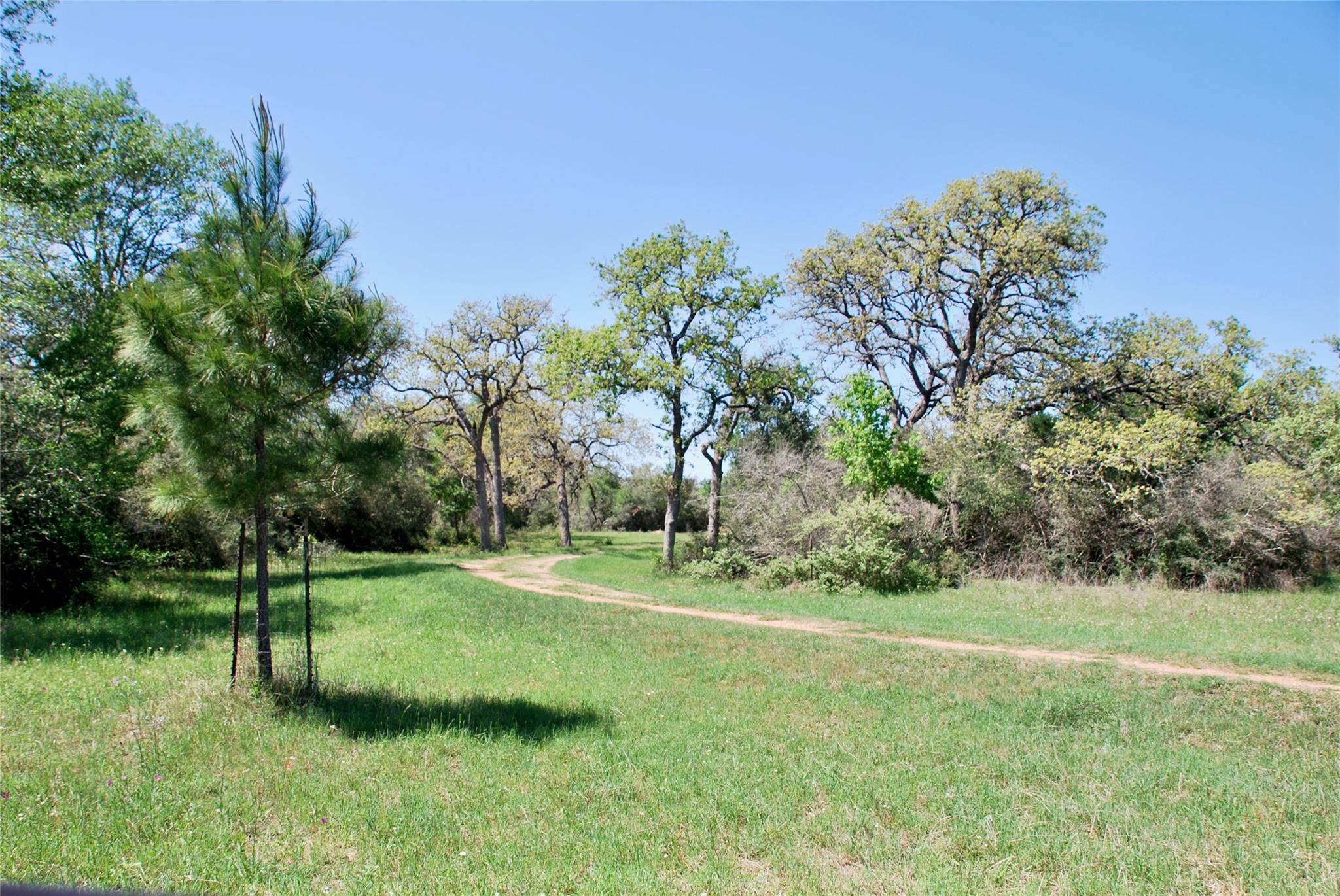 4255 Fm 957 Property Photo 22