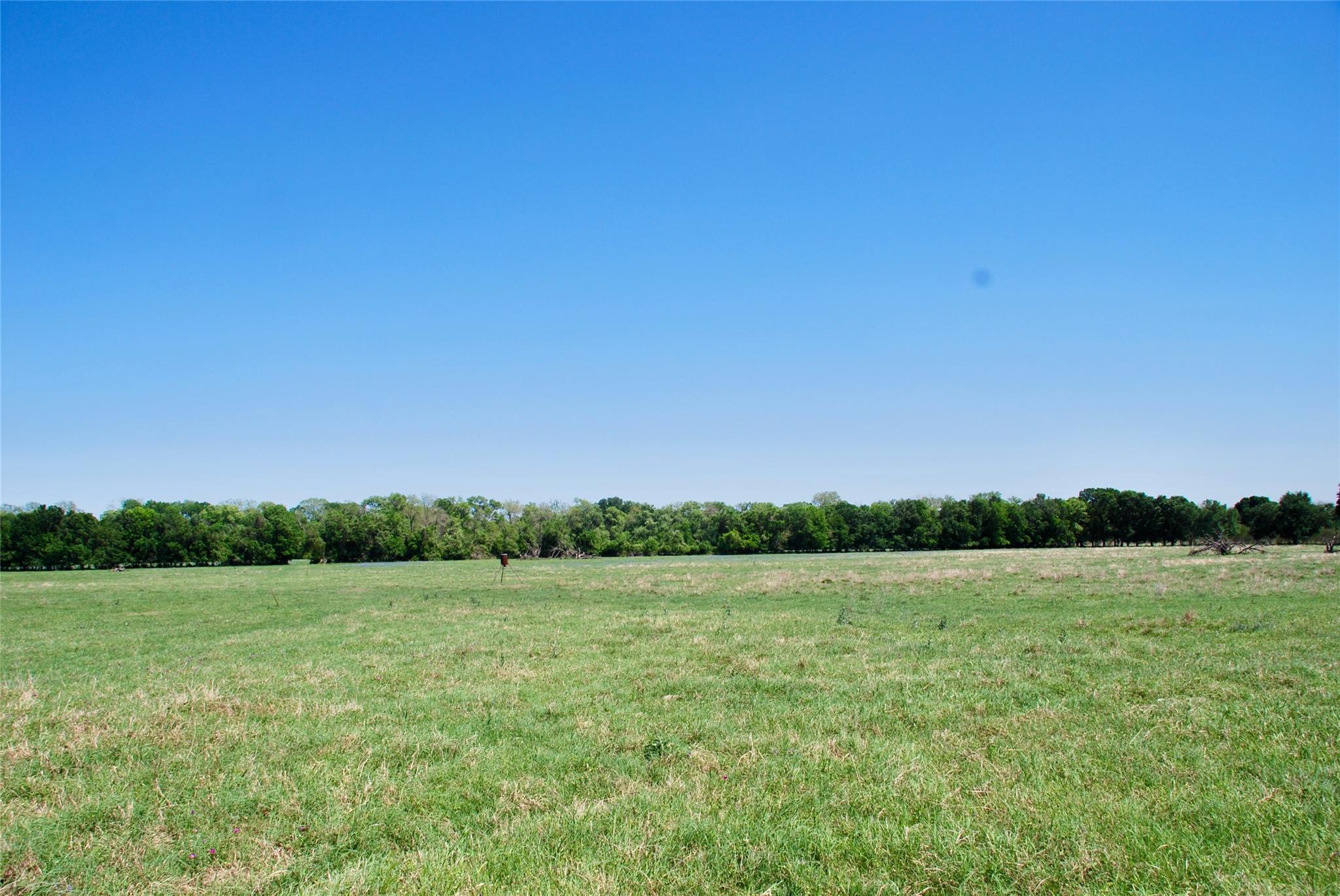 4255 Fm 957 Property Photo 33