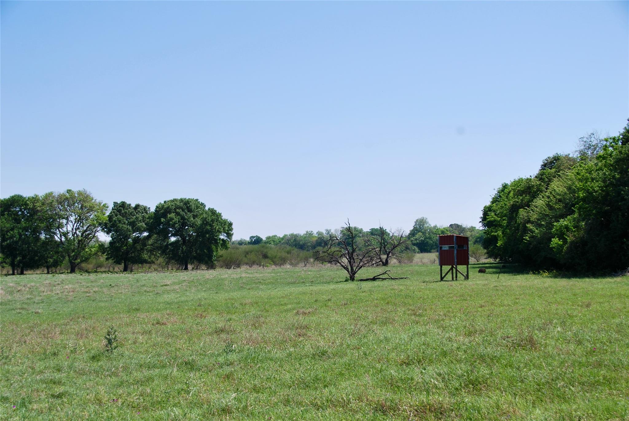 4255 Fm 957 Property Photo 34