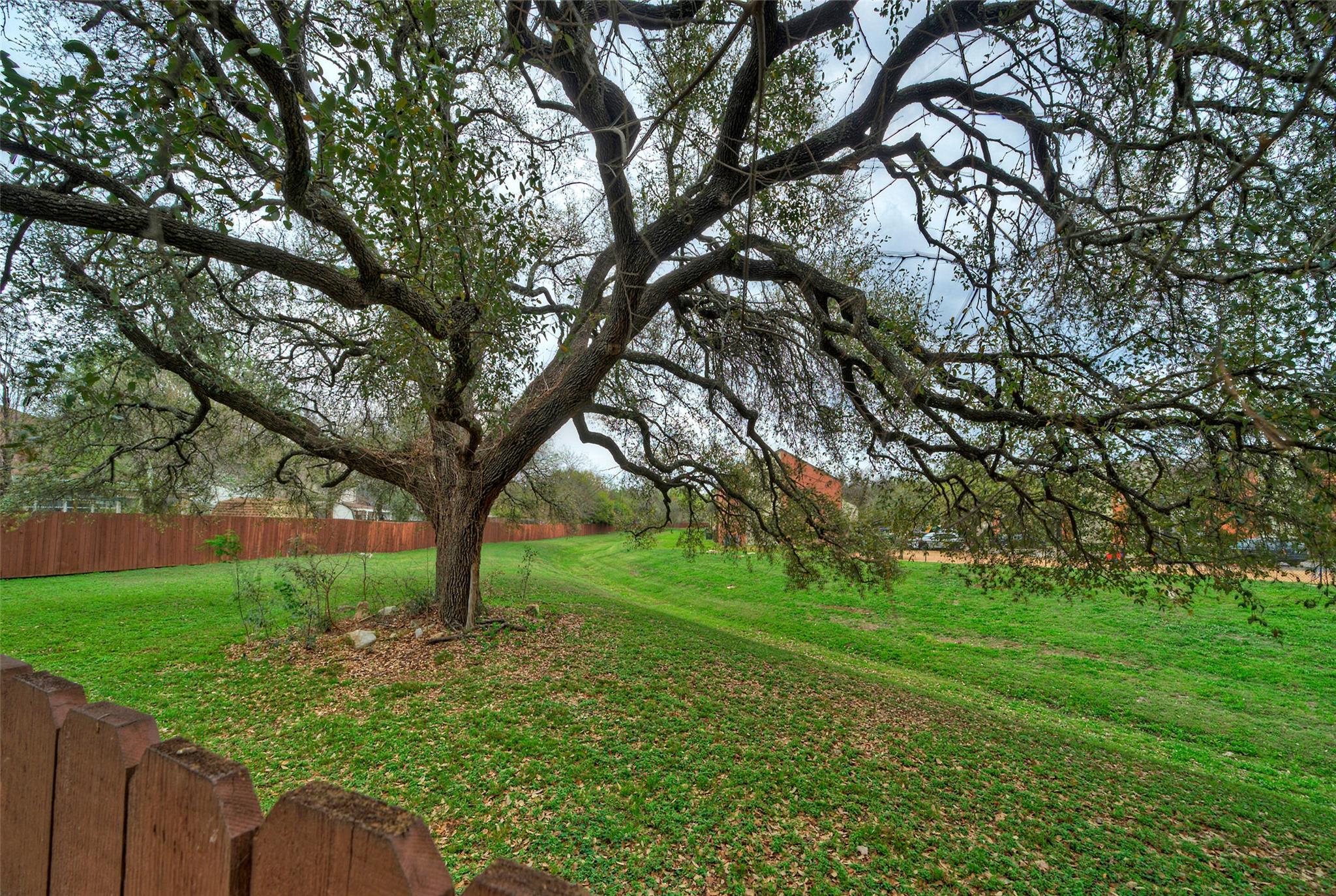 8105 Elkhorn Mountain Trl Property Photo 36