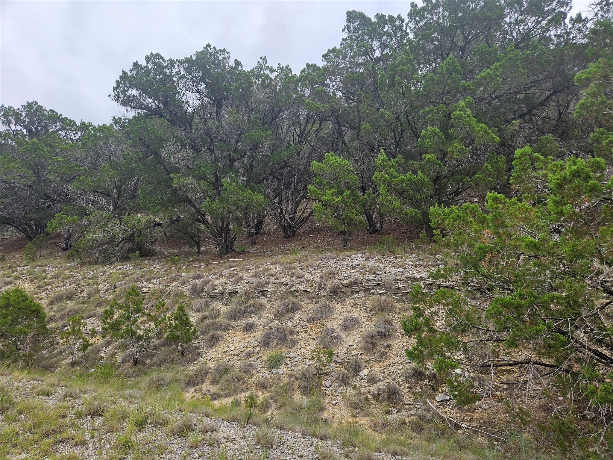 8185 Arroyo Ave Property Photo 1