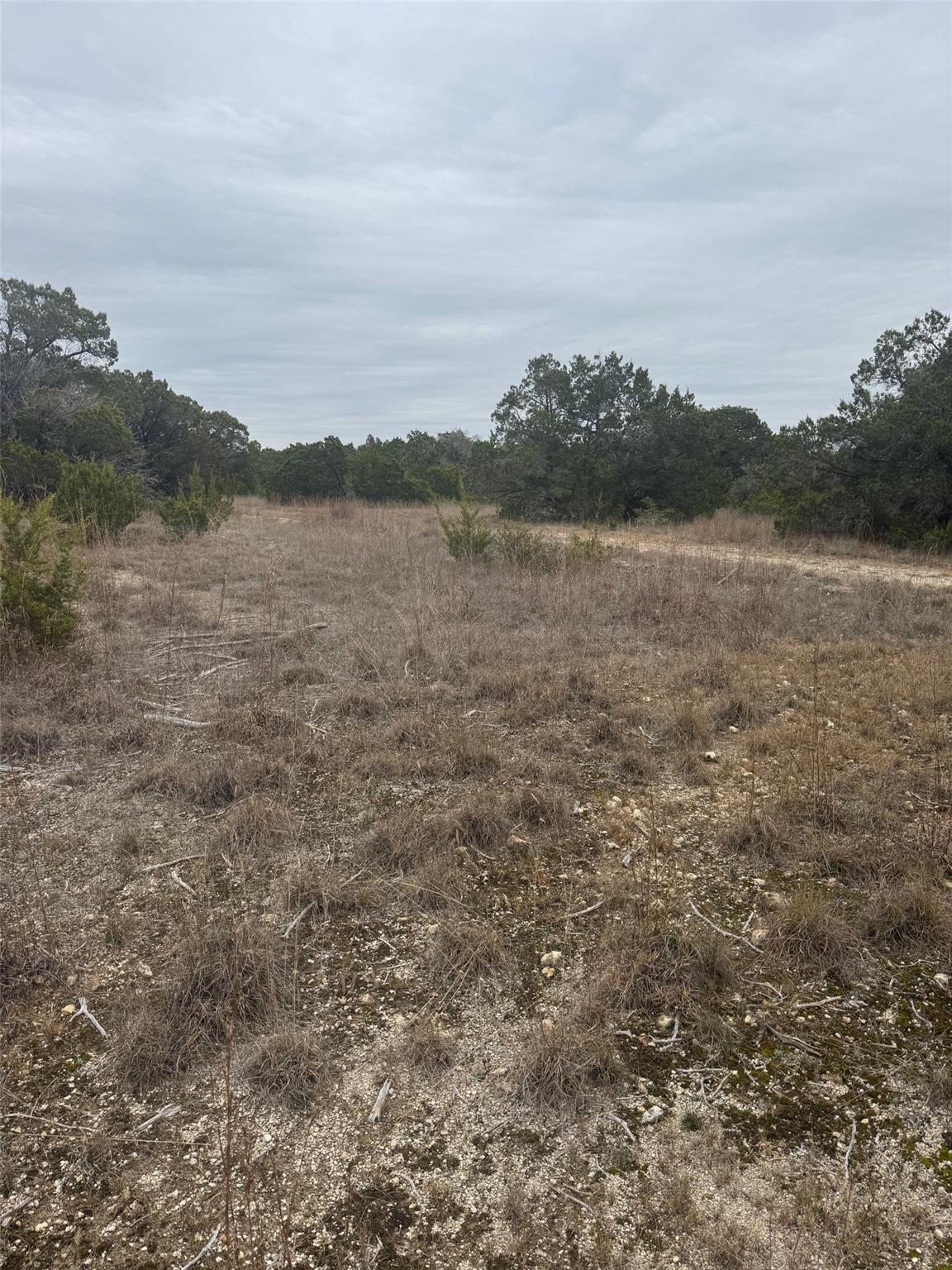 31858 Ranch Road 12 None #lot 8 Property Photo 3